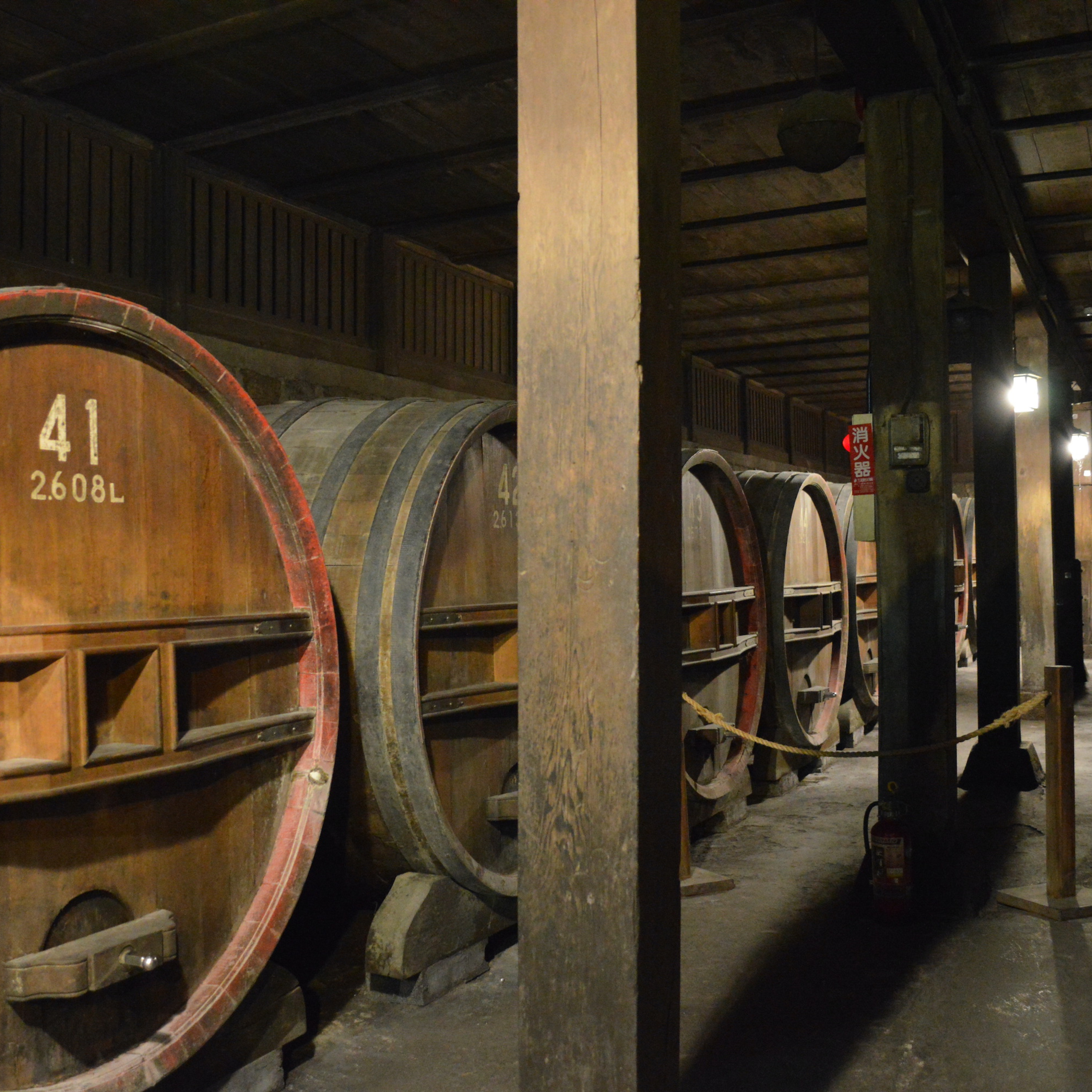 Episode 13: The Wine Cellar | Japanese Wine episode artwork
