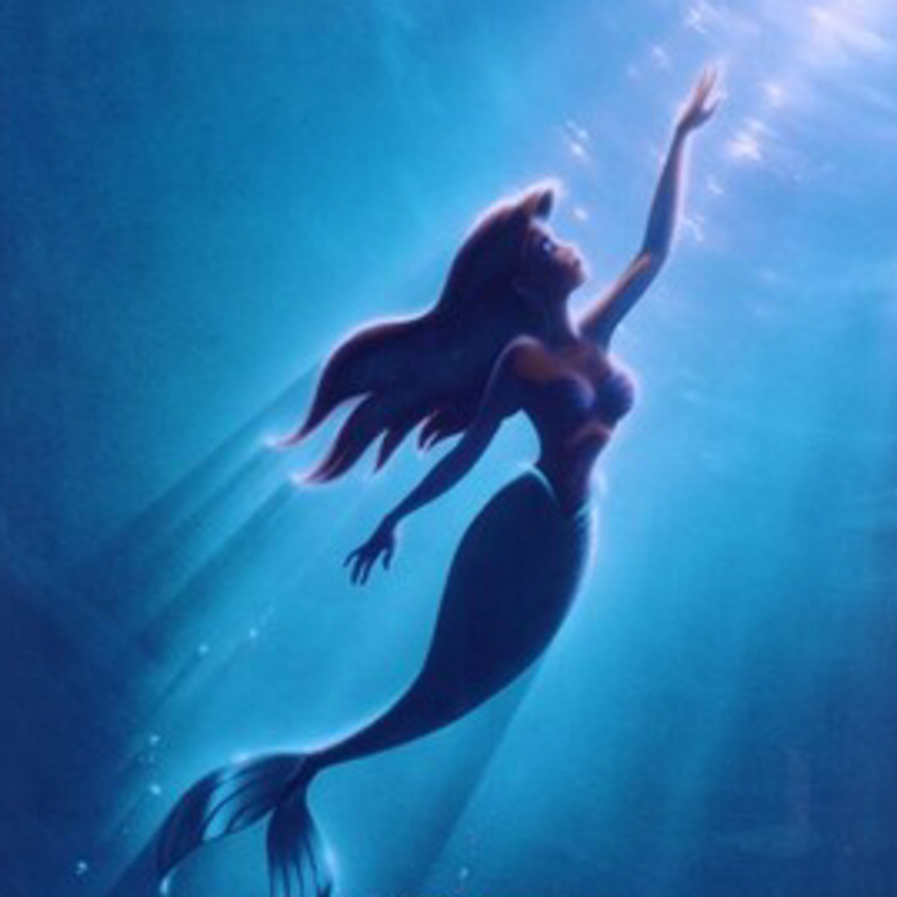 Em flow com os contos