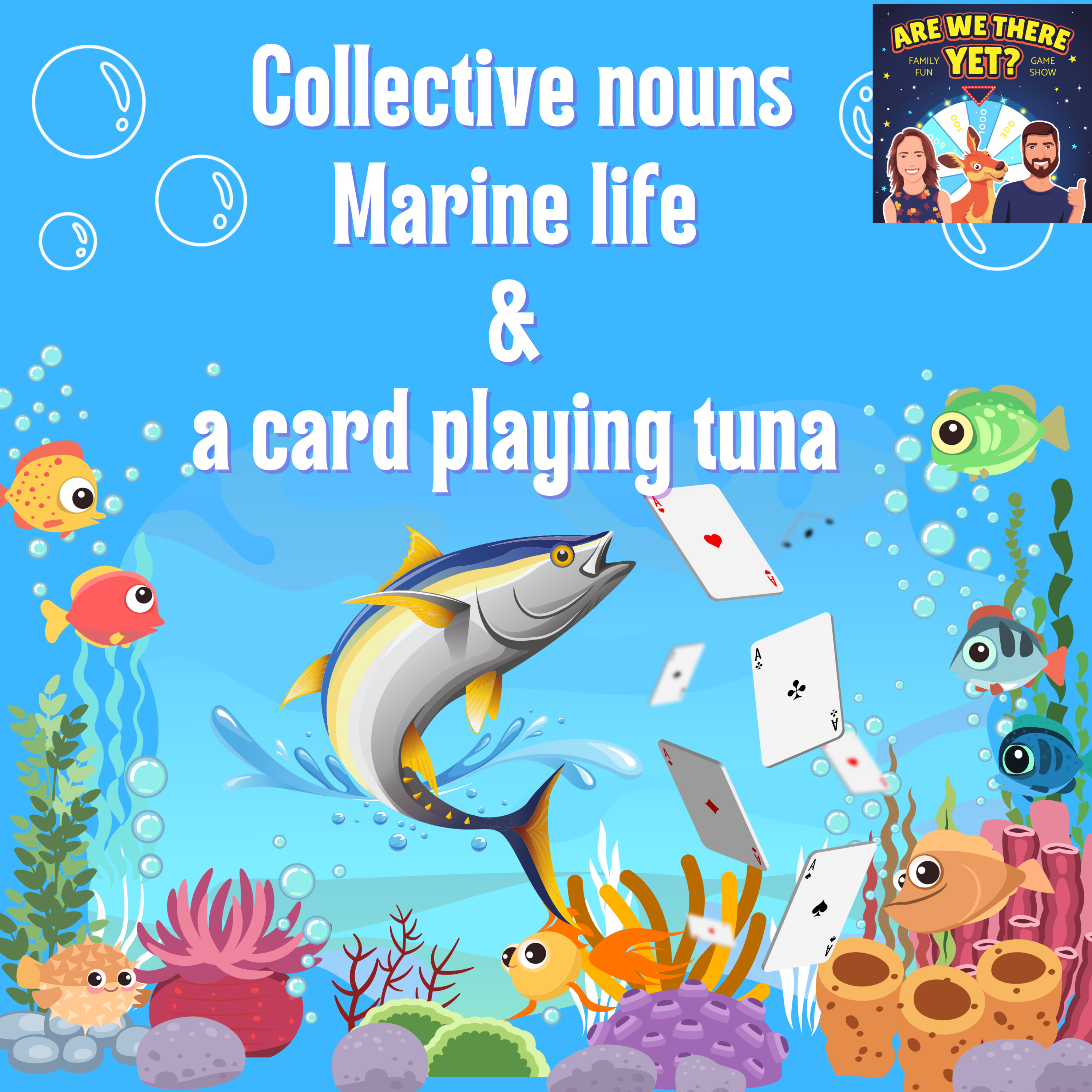 Collective nouns, marine life and a card playing tuna!
