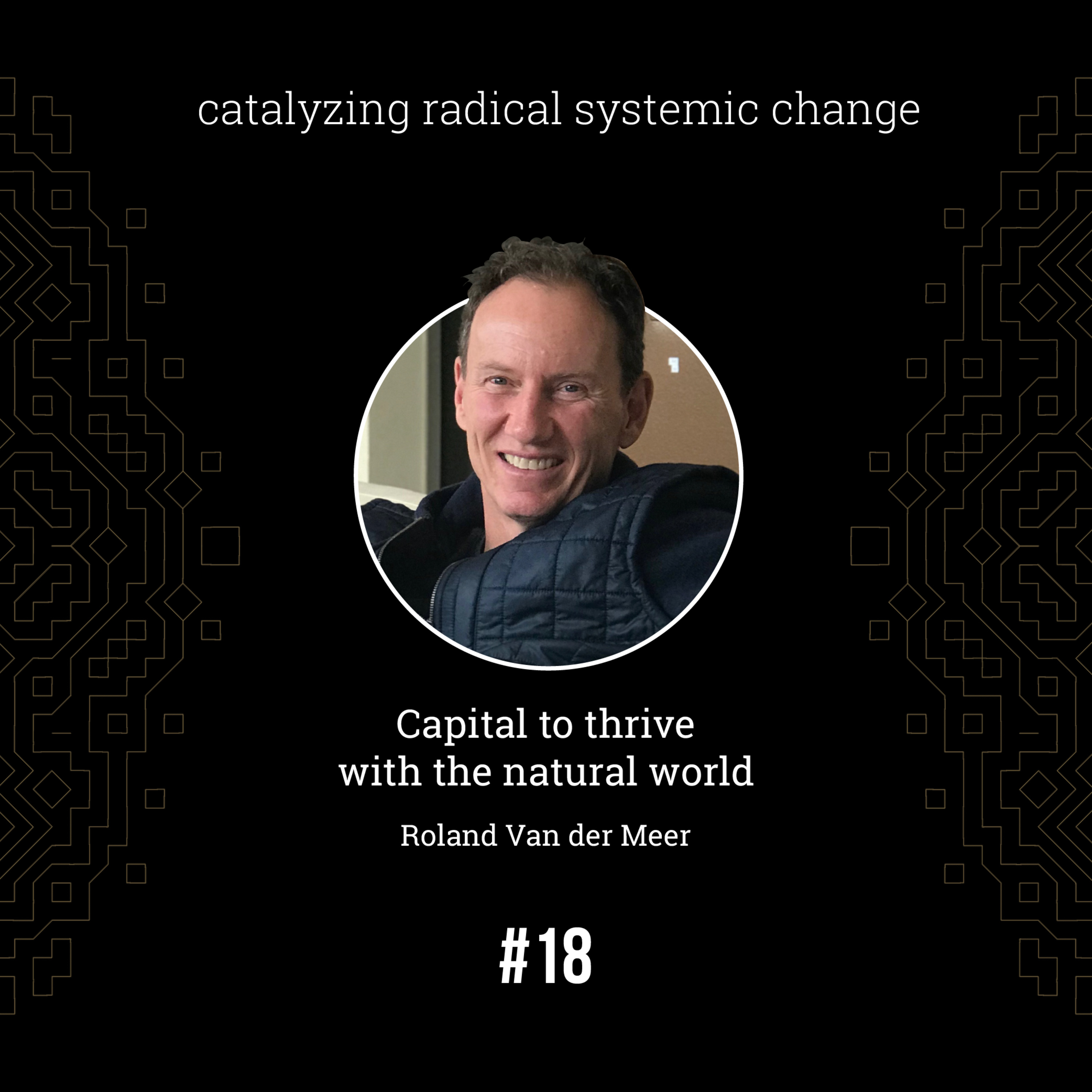 #18 - Playing the game according to the rules, with Roland  Van der Meer  episode artwork