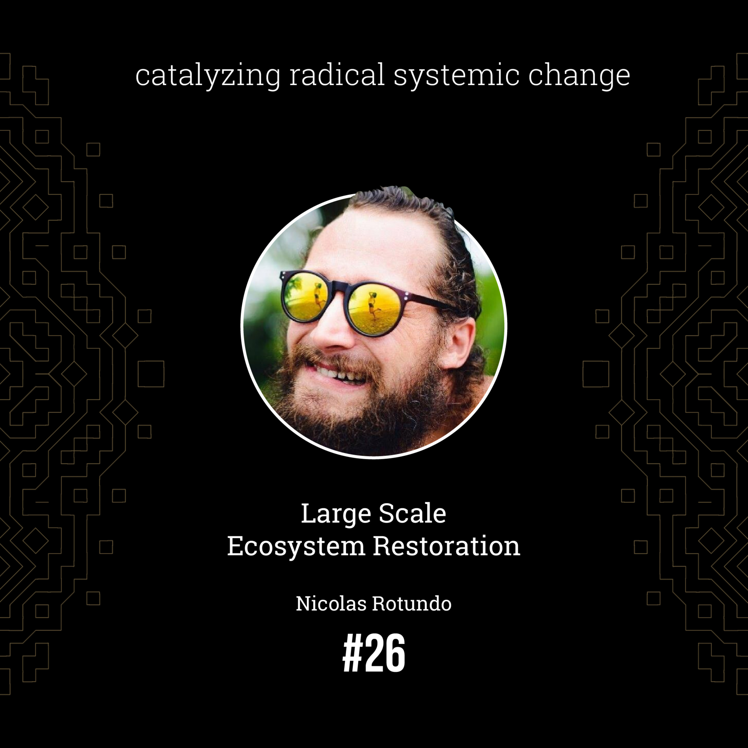 #26 - Large-scale crisis in the field, with Nicolas Rotundo