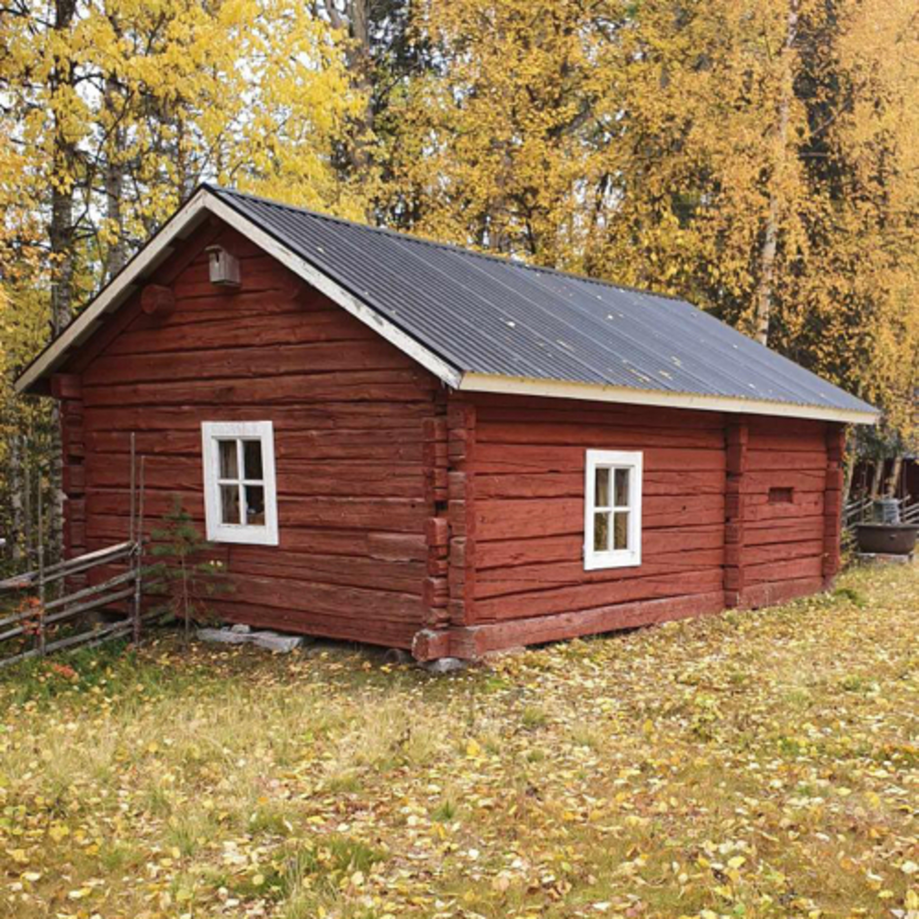 Onaturligt Läskigt