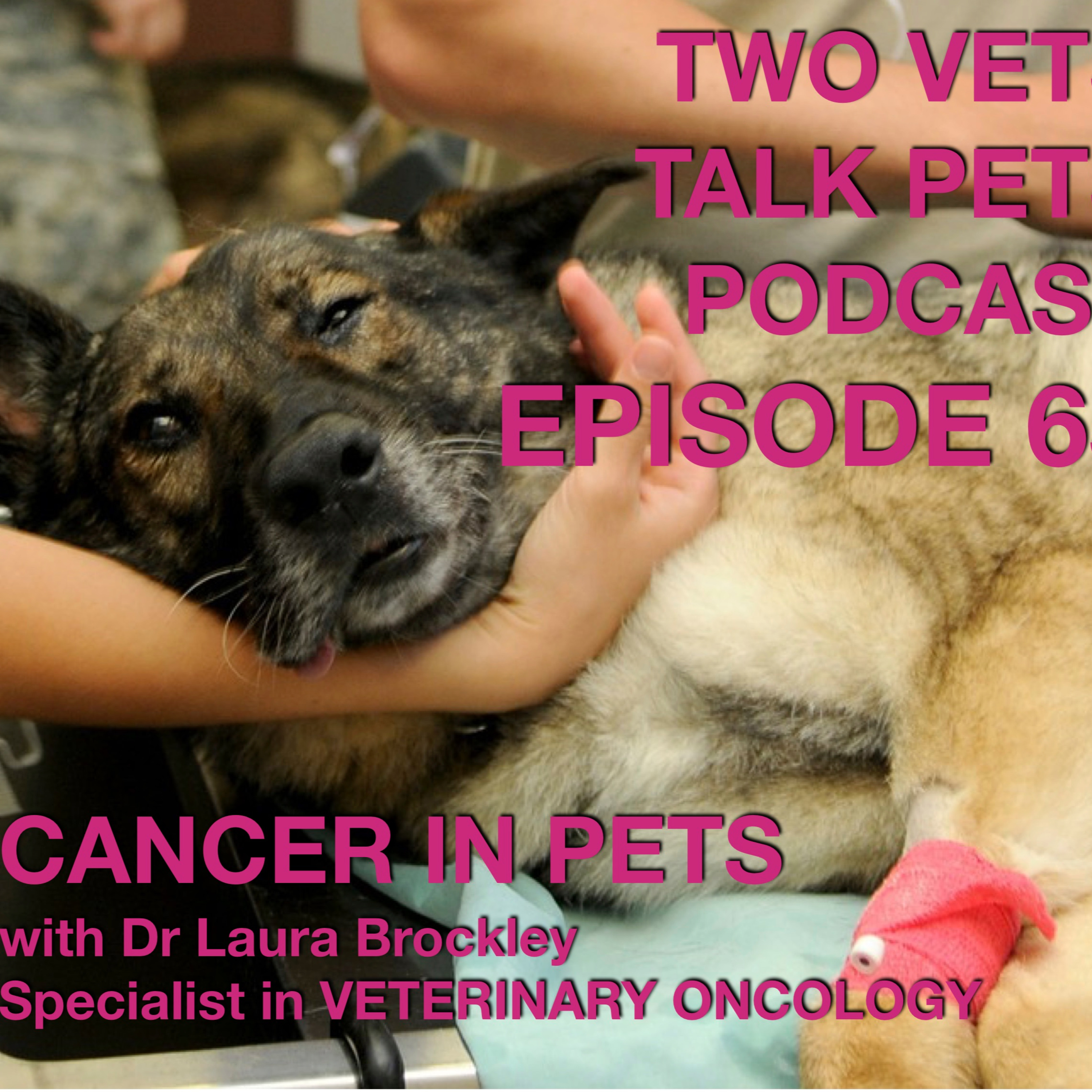 #65 - Cancer, Oncology & Chemotherapy - The New Frontiers & Mythbusting with Dr Laura Brockley episode artwork