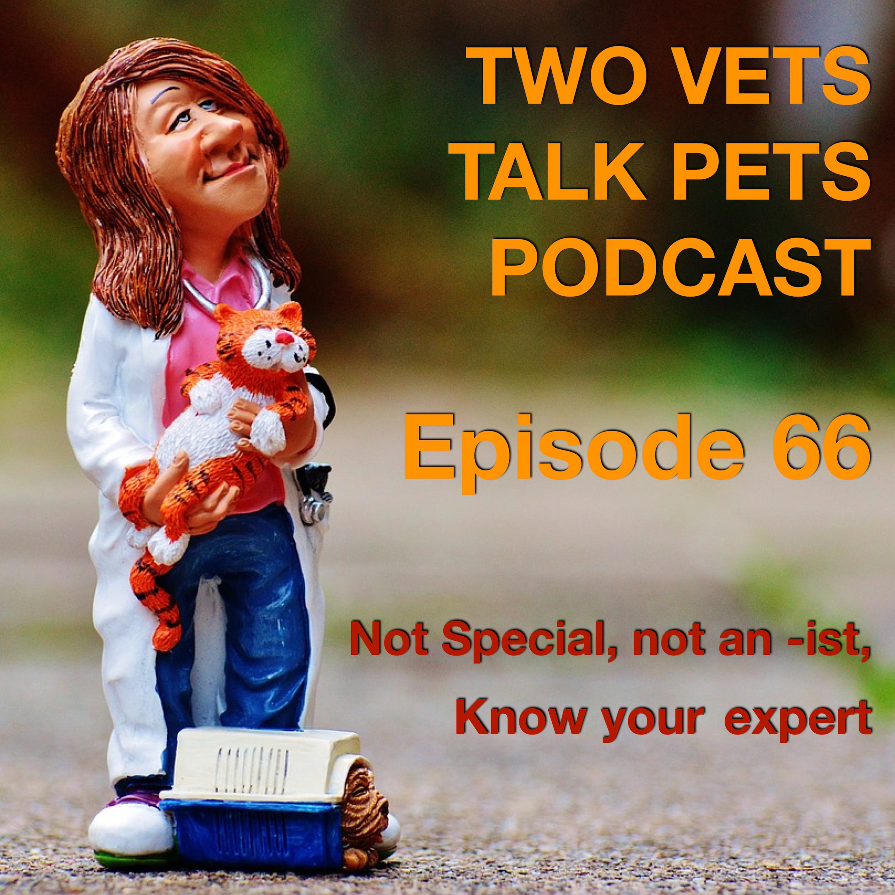 #66 What is a behaviourist?, Breathing Problems in Dogs, Do Vets Make Mistakes? & Larry The UK Chief Mouser (update) episode artwork
