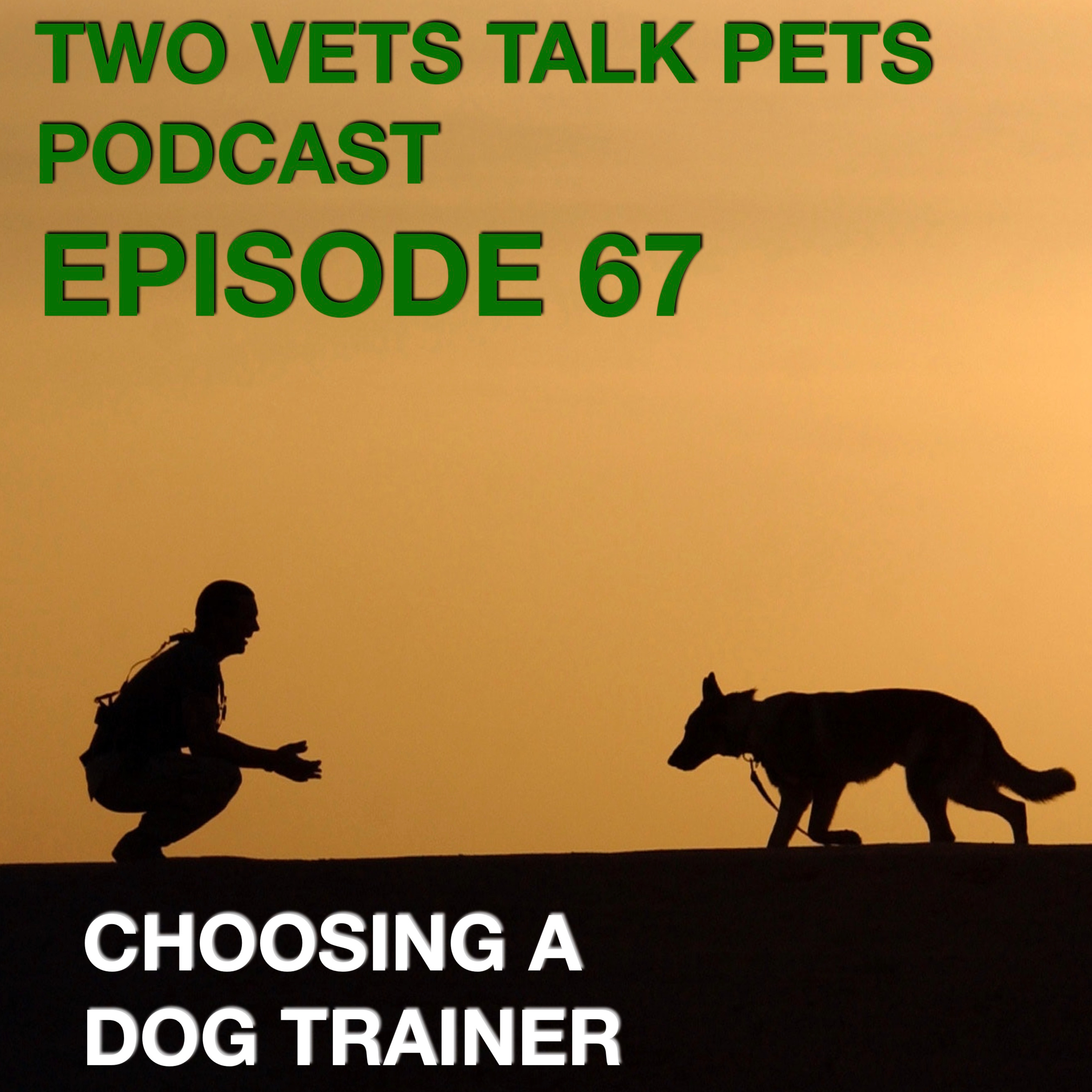 #67 Choosing a Dog Trainer, Adaptive Eye Muscles, Secret Life of Pets II & A Pig On The Leash episode artwork