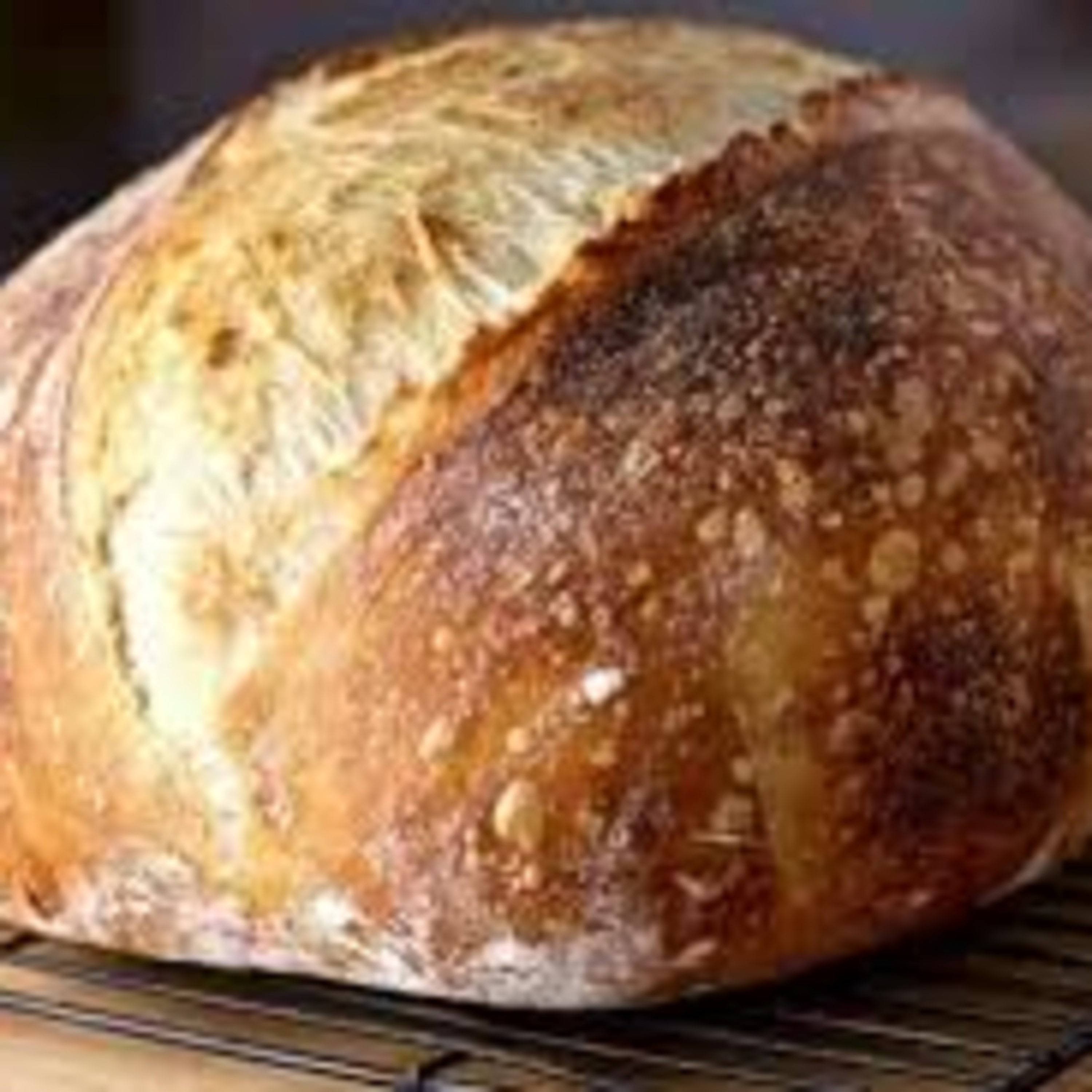 #107 Separation Anxiety caused by COVID, Chief Vet Officer, Peanut Butter on Owners Head to Trim Nails craze & Instagram Sour Doughfluencers