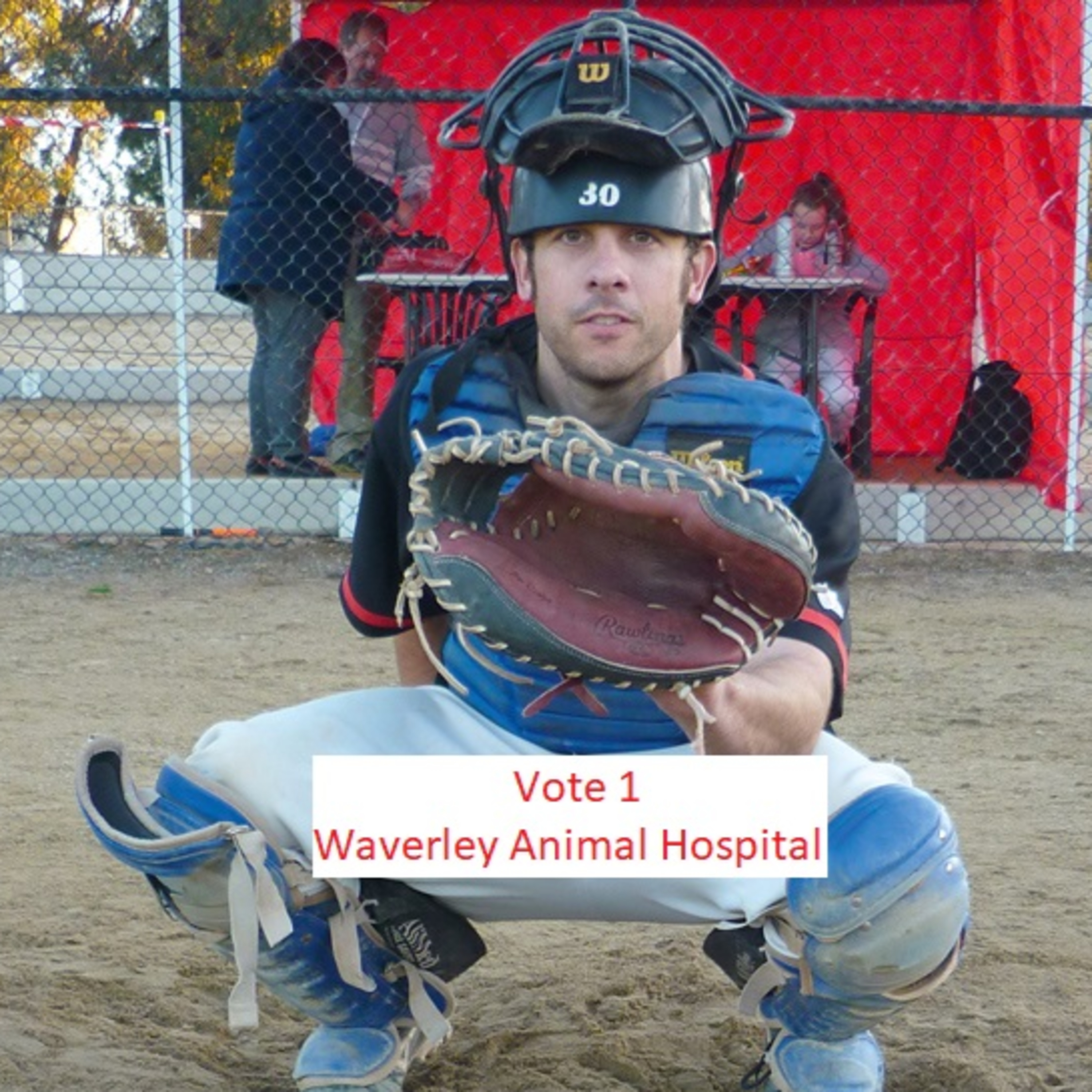 #112 Vote For Dr Robbie - 'Best Vet in Melbourne', Flea Prevention/Treatment & Puppy Scammers