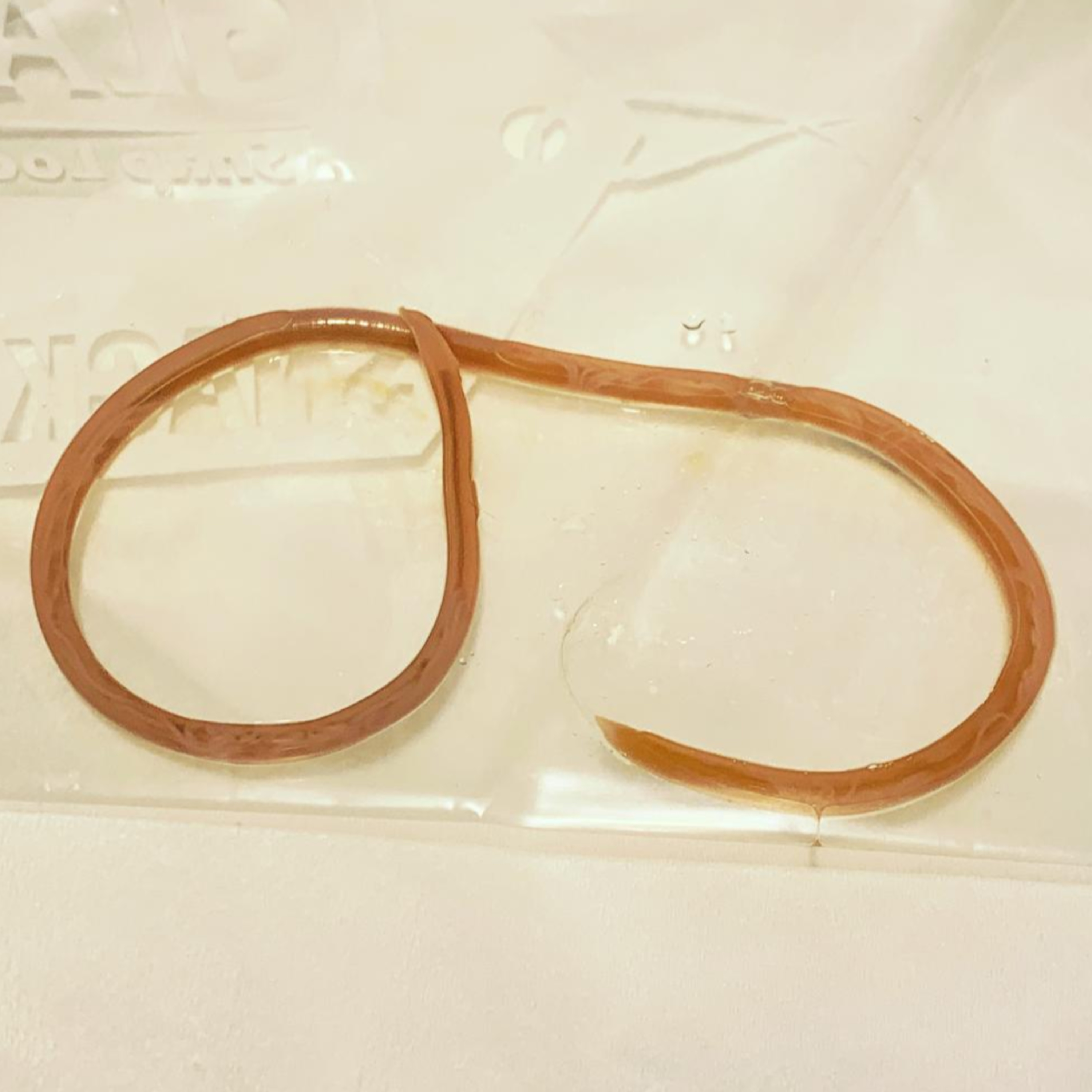 #118 Worms in puppies, Car sickness, Fatso's relatives attack, Monkey-Free coconut milk & Erhlichiosis update