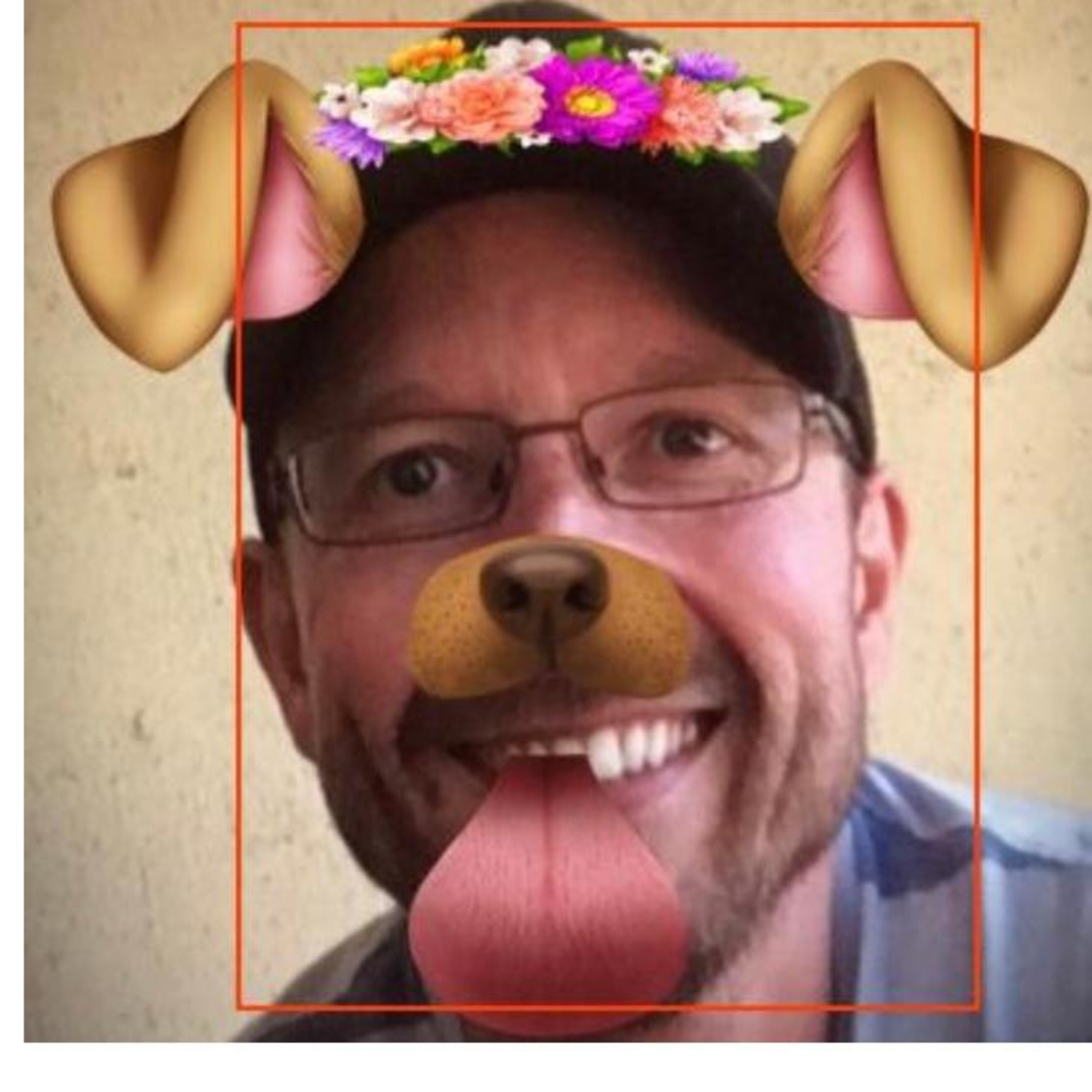#123 Bladder Stones, French COVID-19 Pets Study, Germany's New Dog Walking Law and The Happy Pets App.  episode artwork