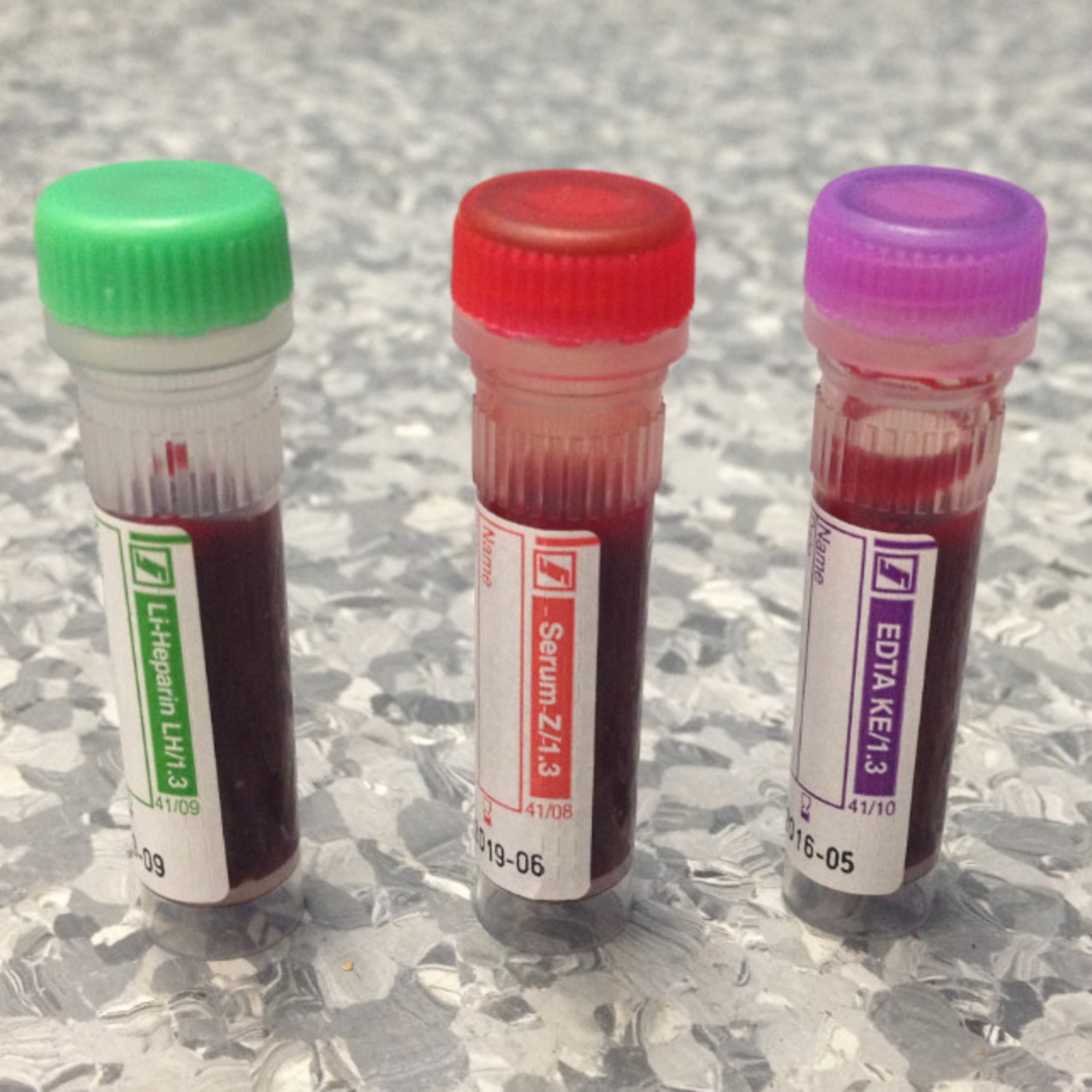 #145 What do vets mean when they say 'blood tests'?, A new parasite in Australia (E. canis), Pregnancy breath tests & Camille's school project. episode artwork
