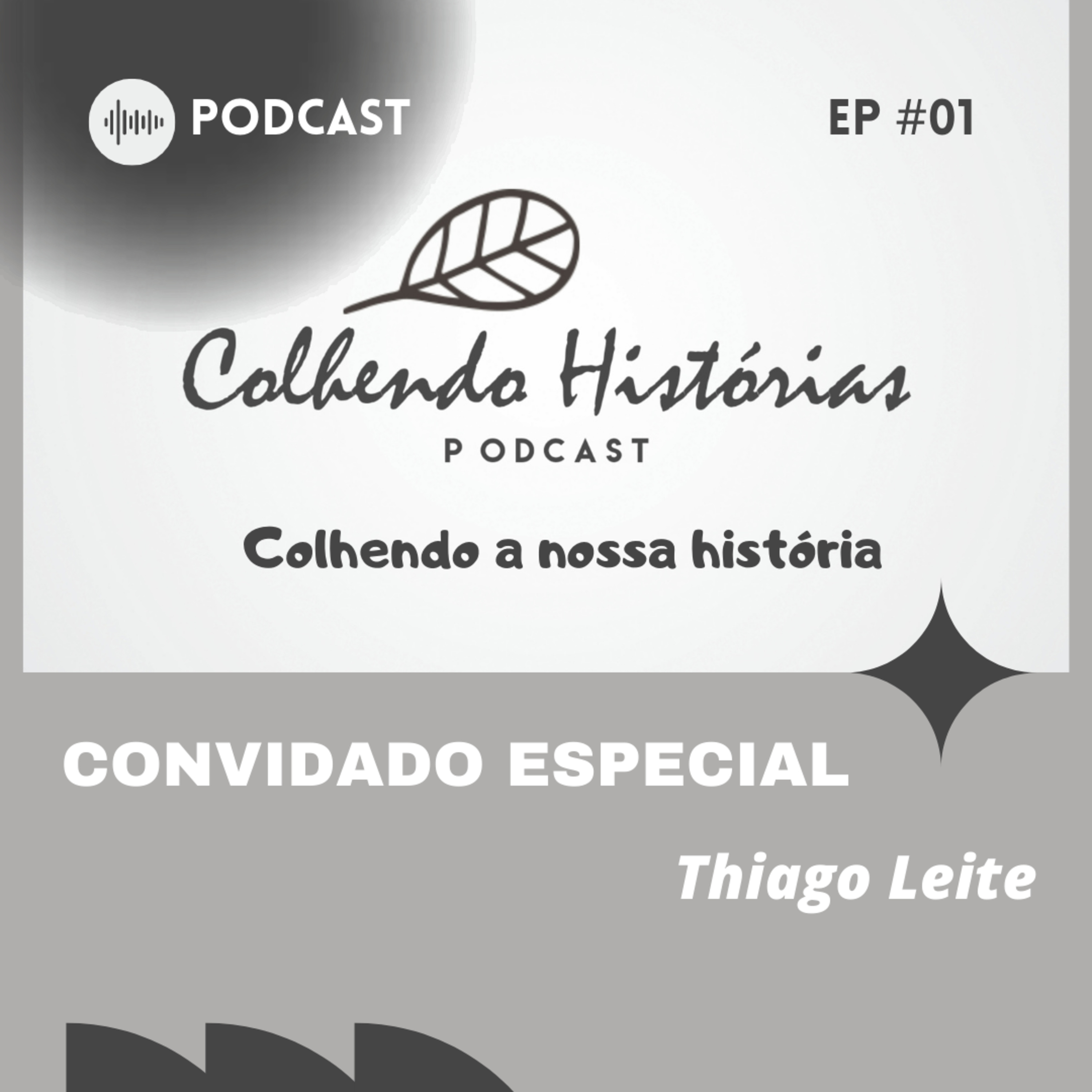 Colhendo Histórias