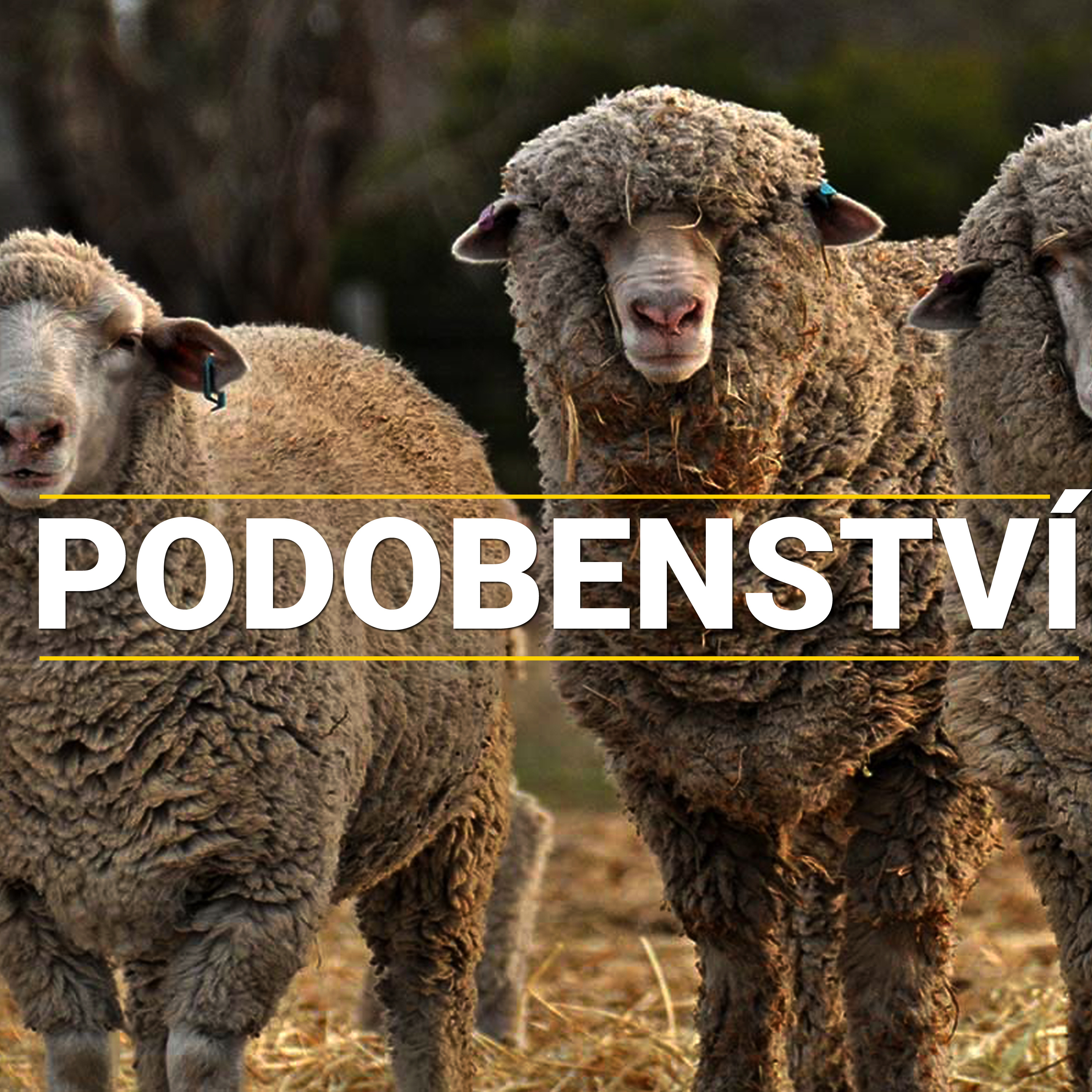 #03 O spravedlnosti a milosti | Podobenství episode artwork