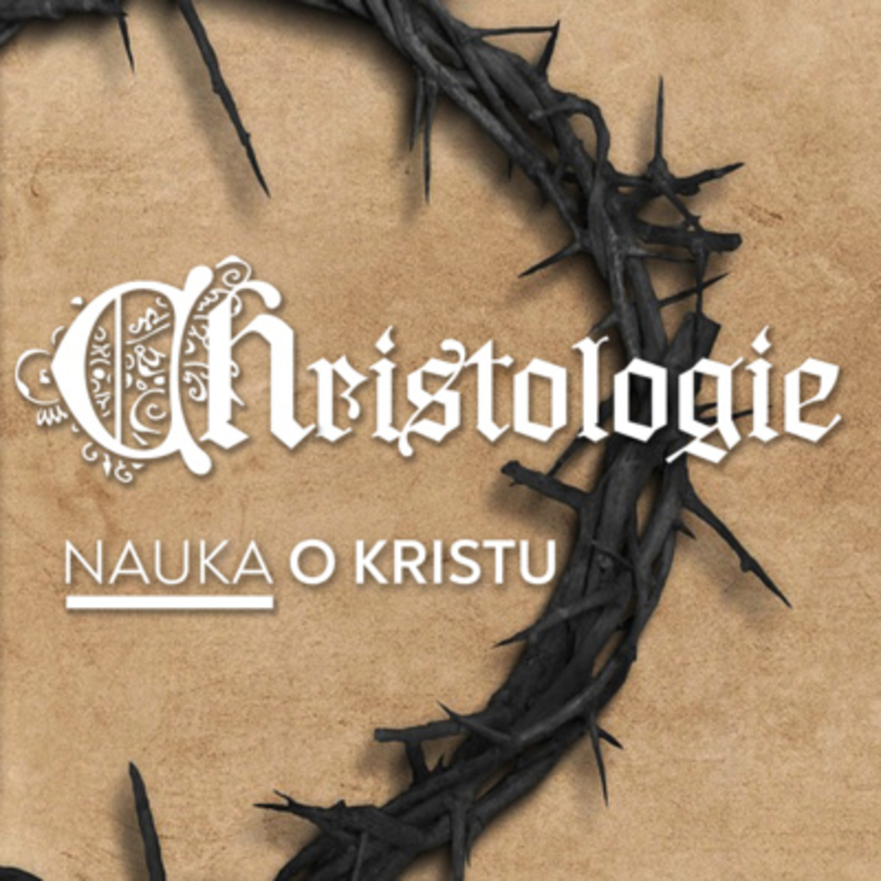 #02 Kristova Božská jména a skutky | Christologie episode artwork