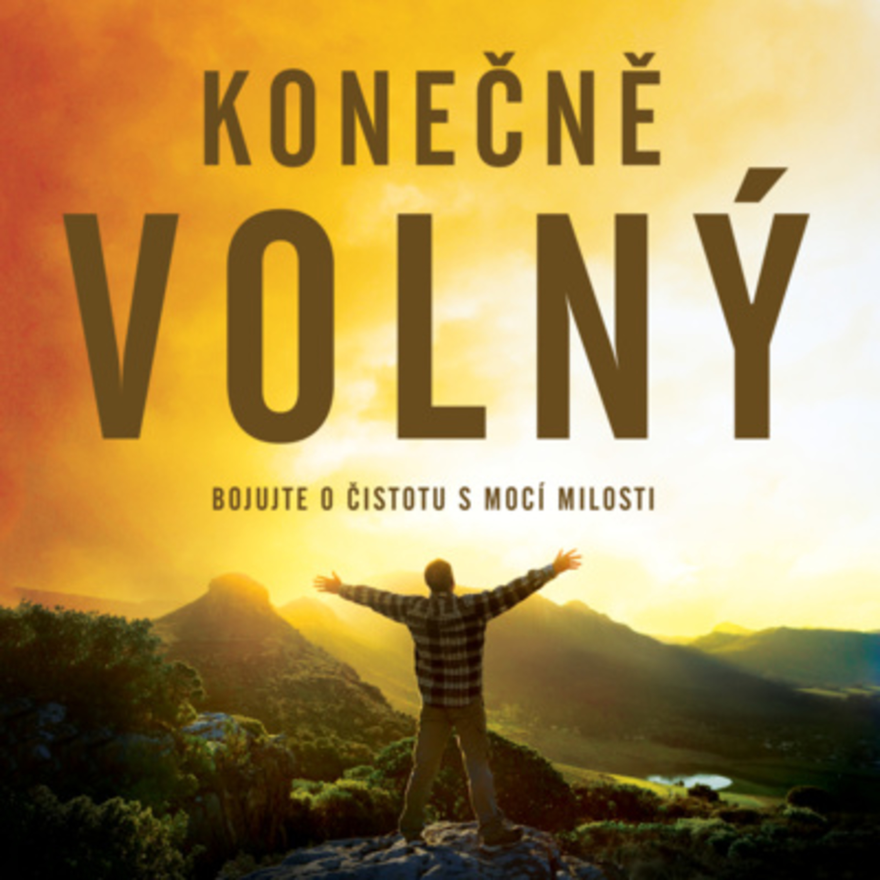 #06 Pomoc ženám, jejichž muži jsou závislí na pornografii | Konečně volný episode artwork