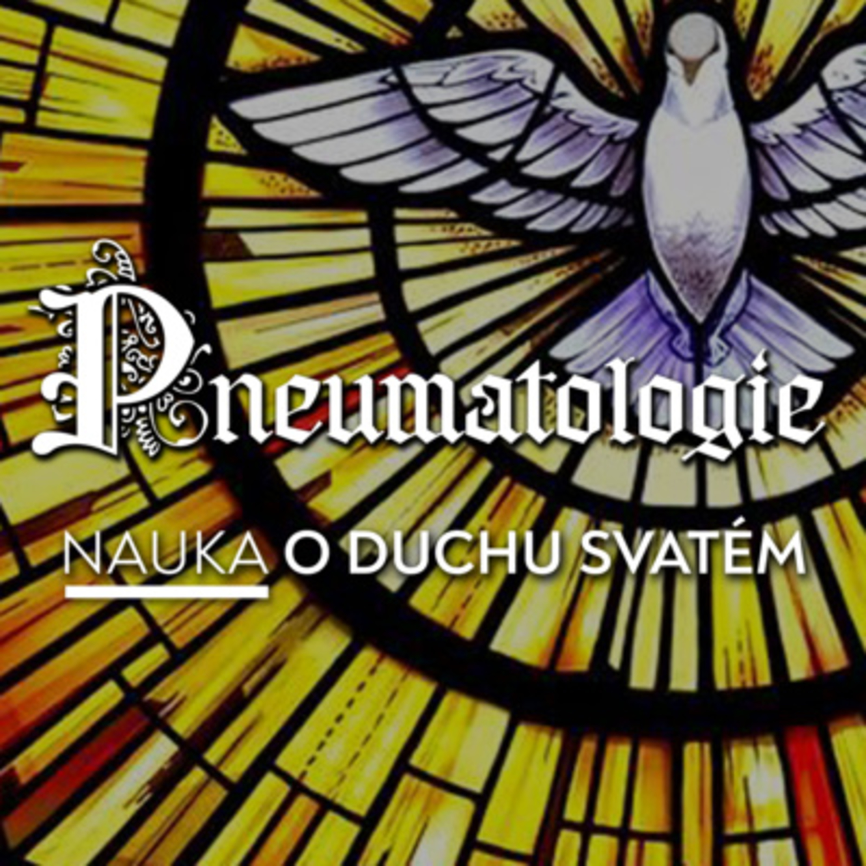 #06 Zapečetění a dary Ducha Svatého | Pneumatologie episode artwork