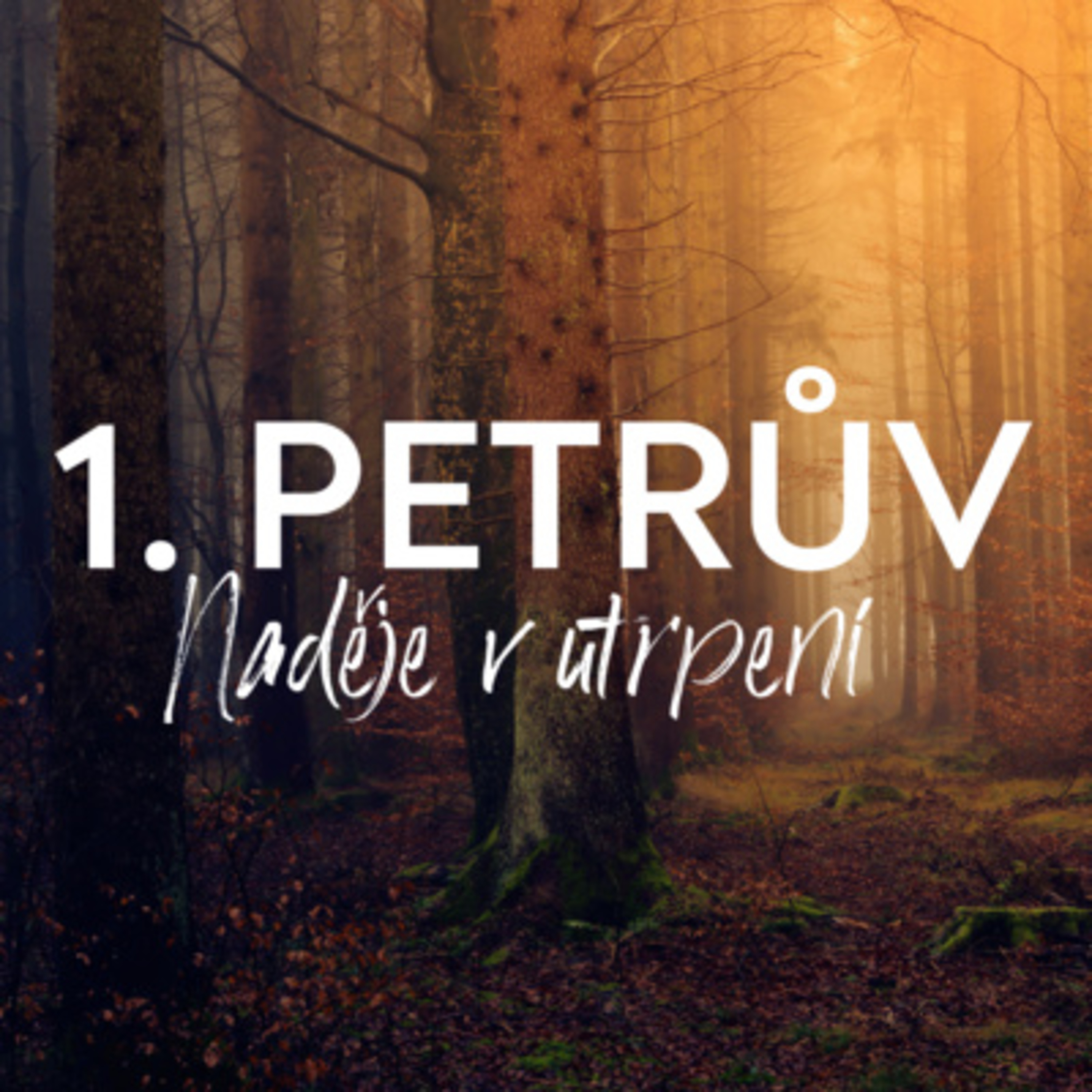 #03 Povzbuzení k radosti ve zkouškách | 1. Petrův 1:6-9  episode artwork