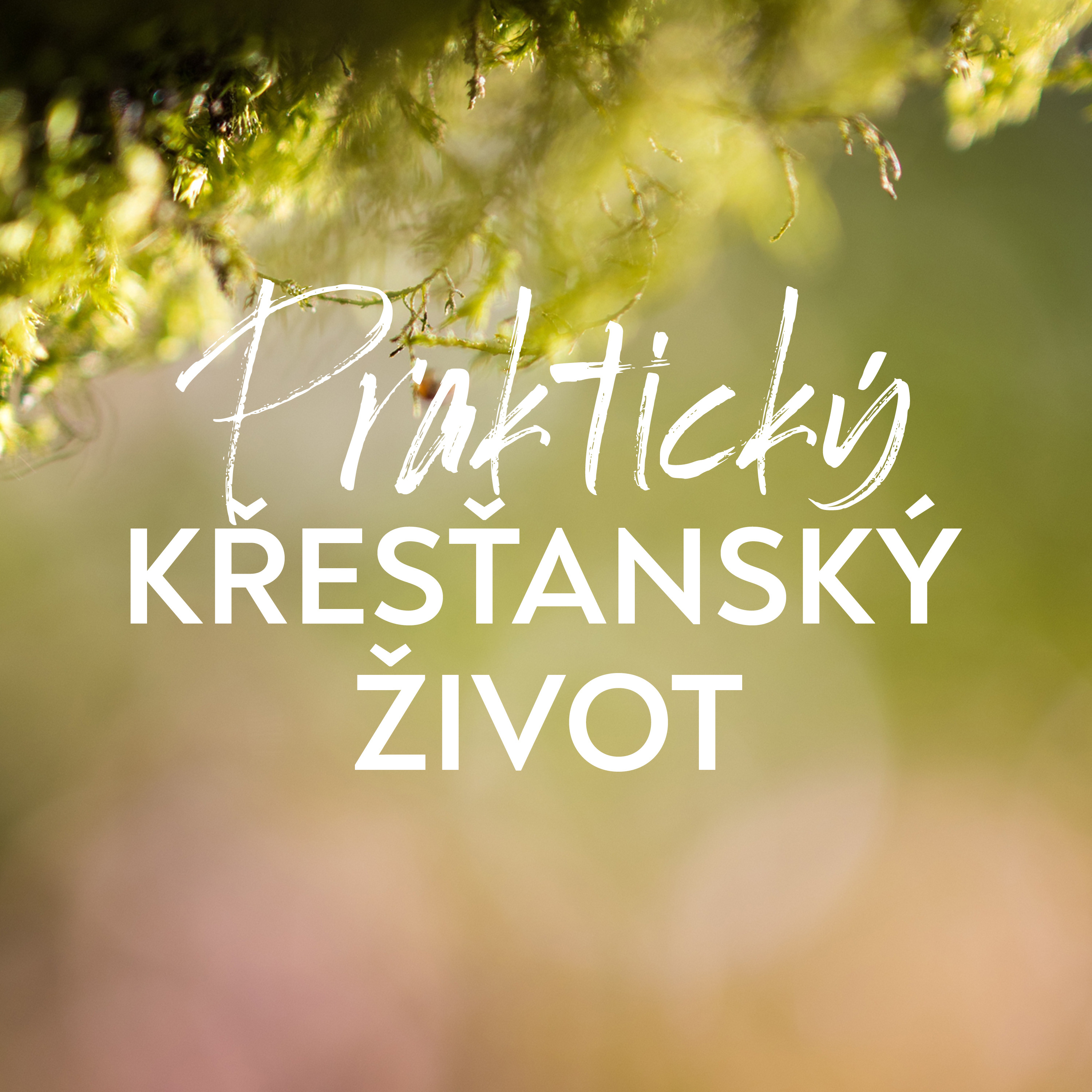 #01 Moudré využívání času | Praktický křesťanský život