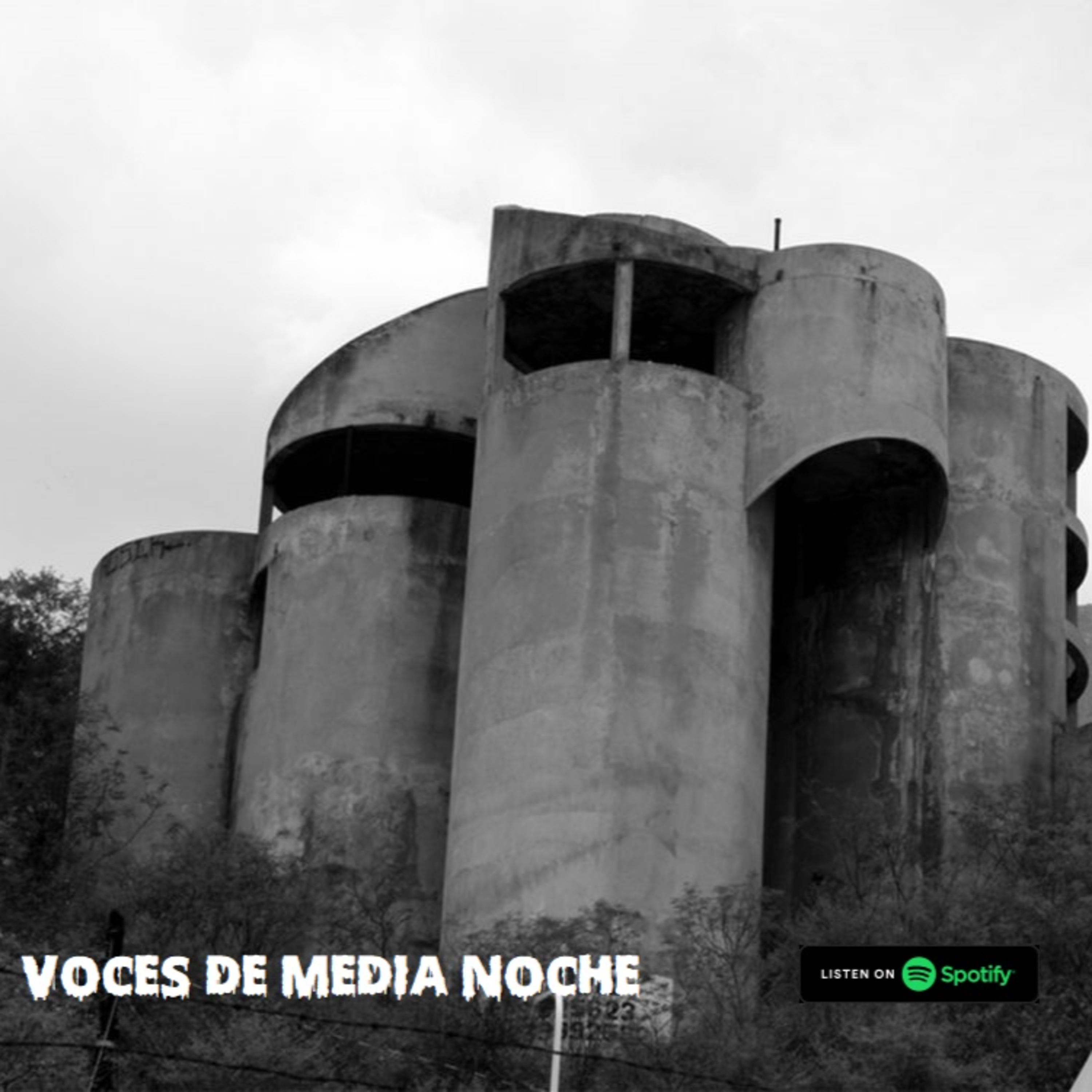 Voces De Media Noche