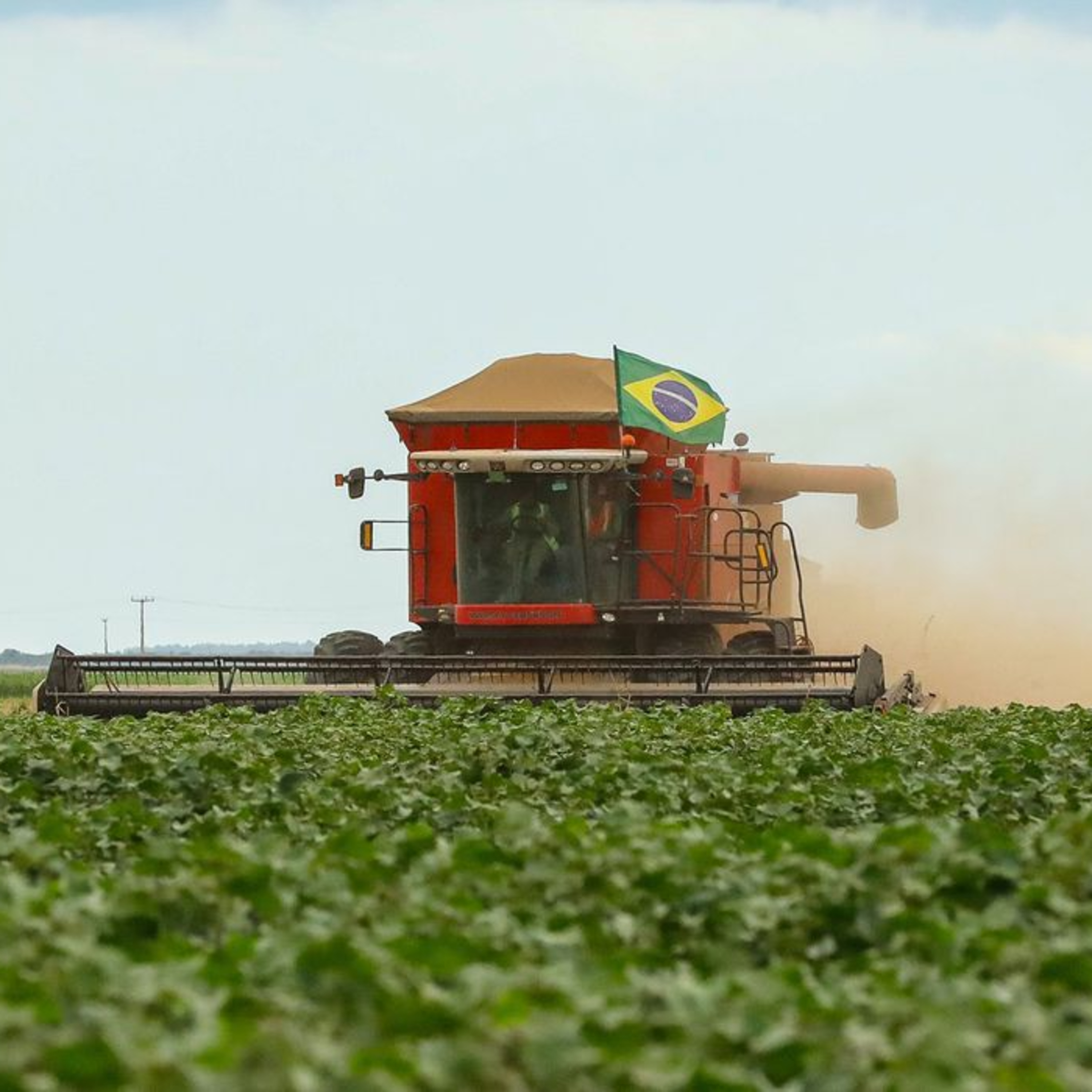 Rodolfo de Souza: energia limpa, dinheiro estrangeiro, preservação ambiental e combate à forme marcam semana no agro episode artwork