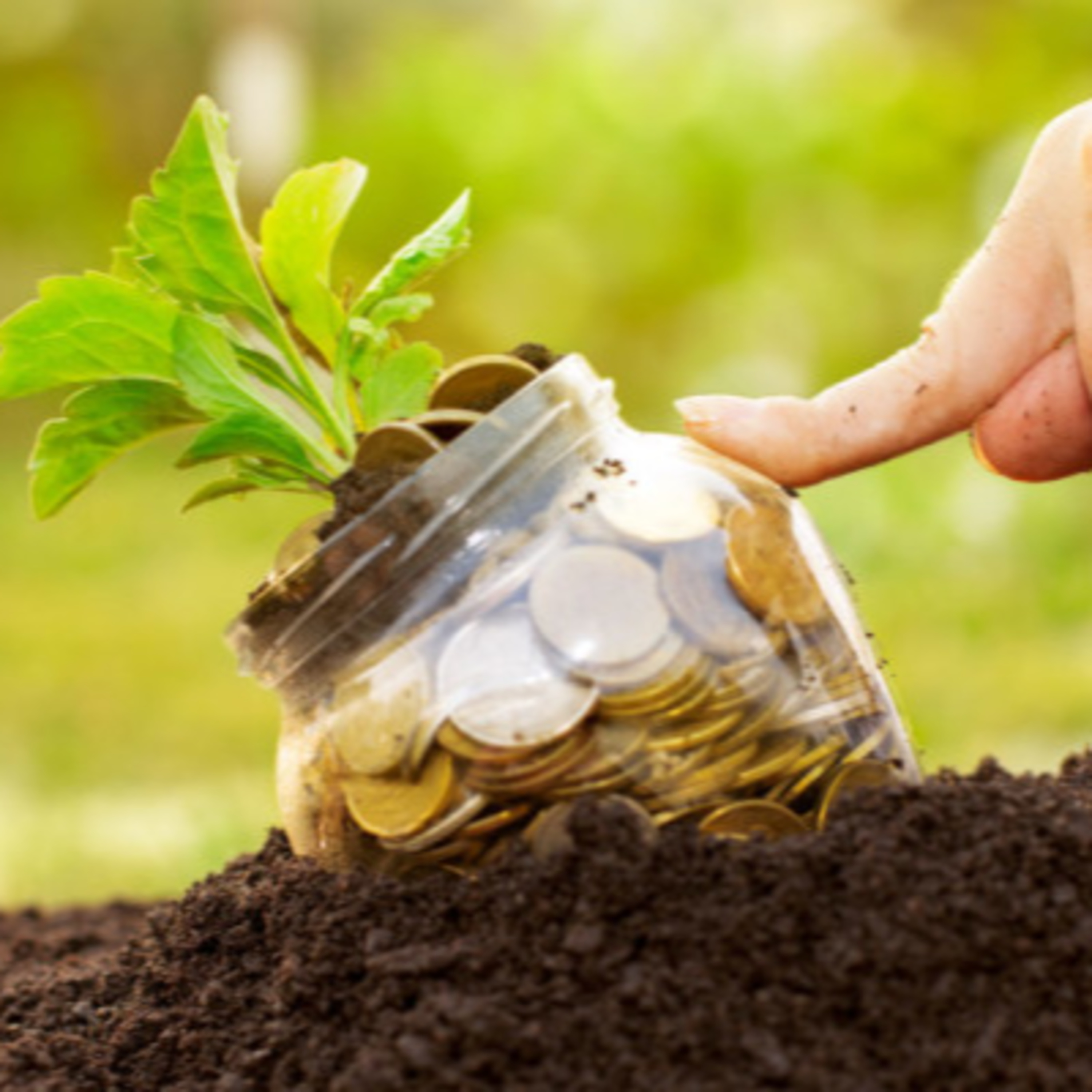 Bioeconomia pode gerar faturamento de US$ 284 bilhões/ano para o Brasil episode artwork