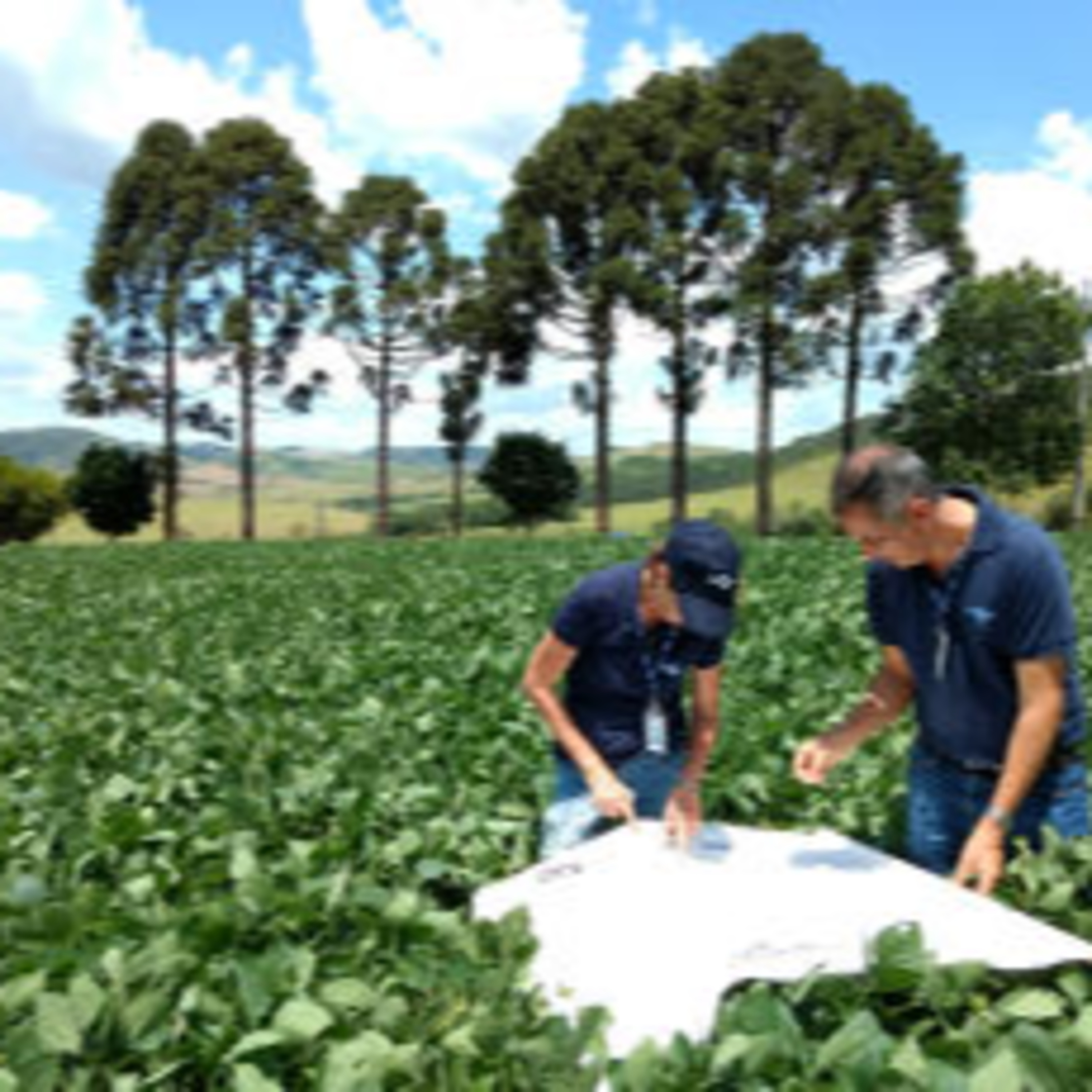 100porcentoagro
