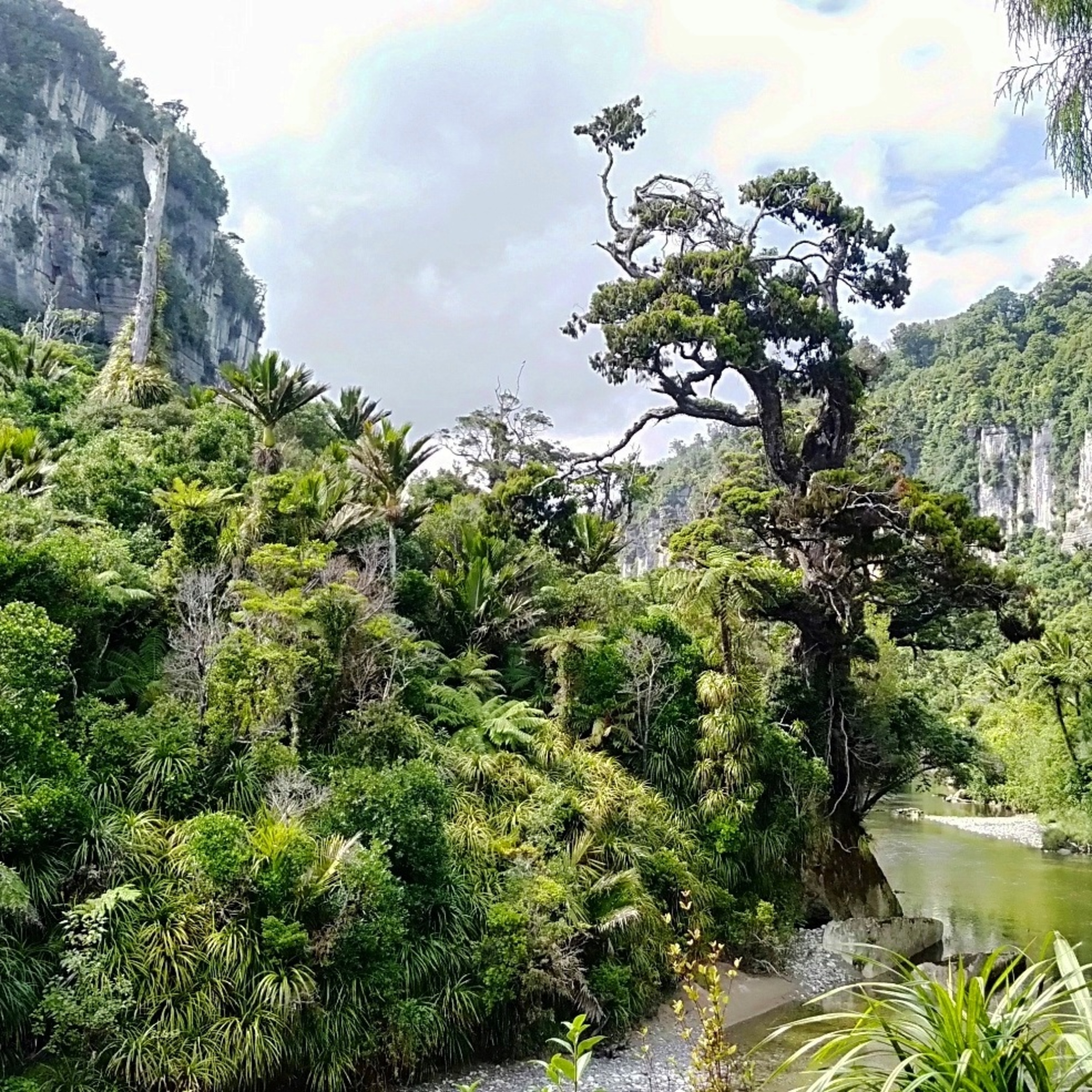 A Maverick Traveller: The Podcasts of Mary Jane Walker