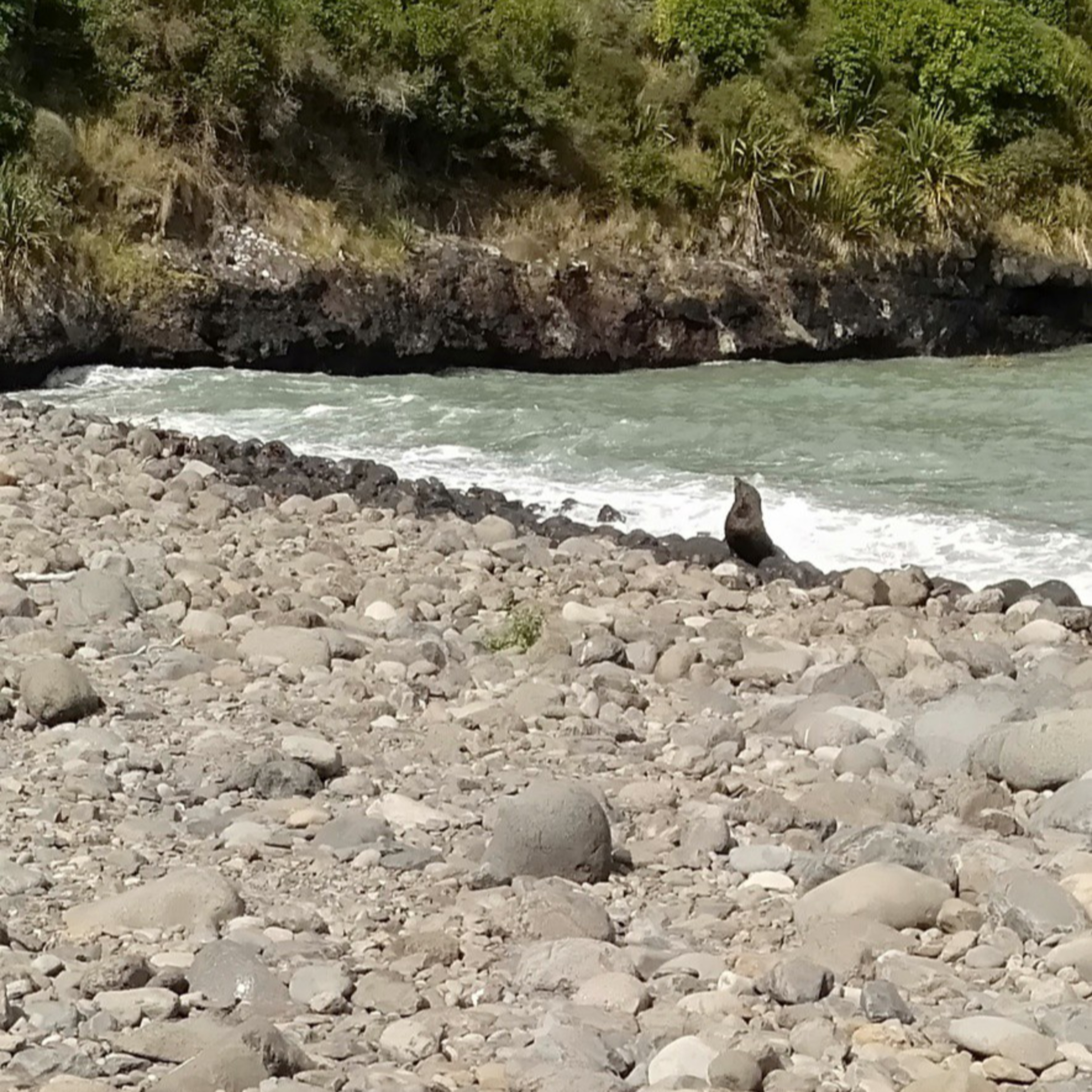 A Maverick Traveller: The Podcasts of Mary Jane Walker