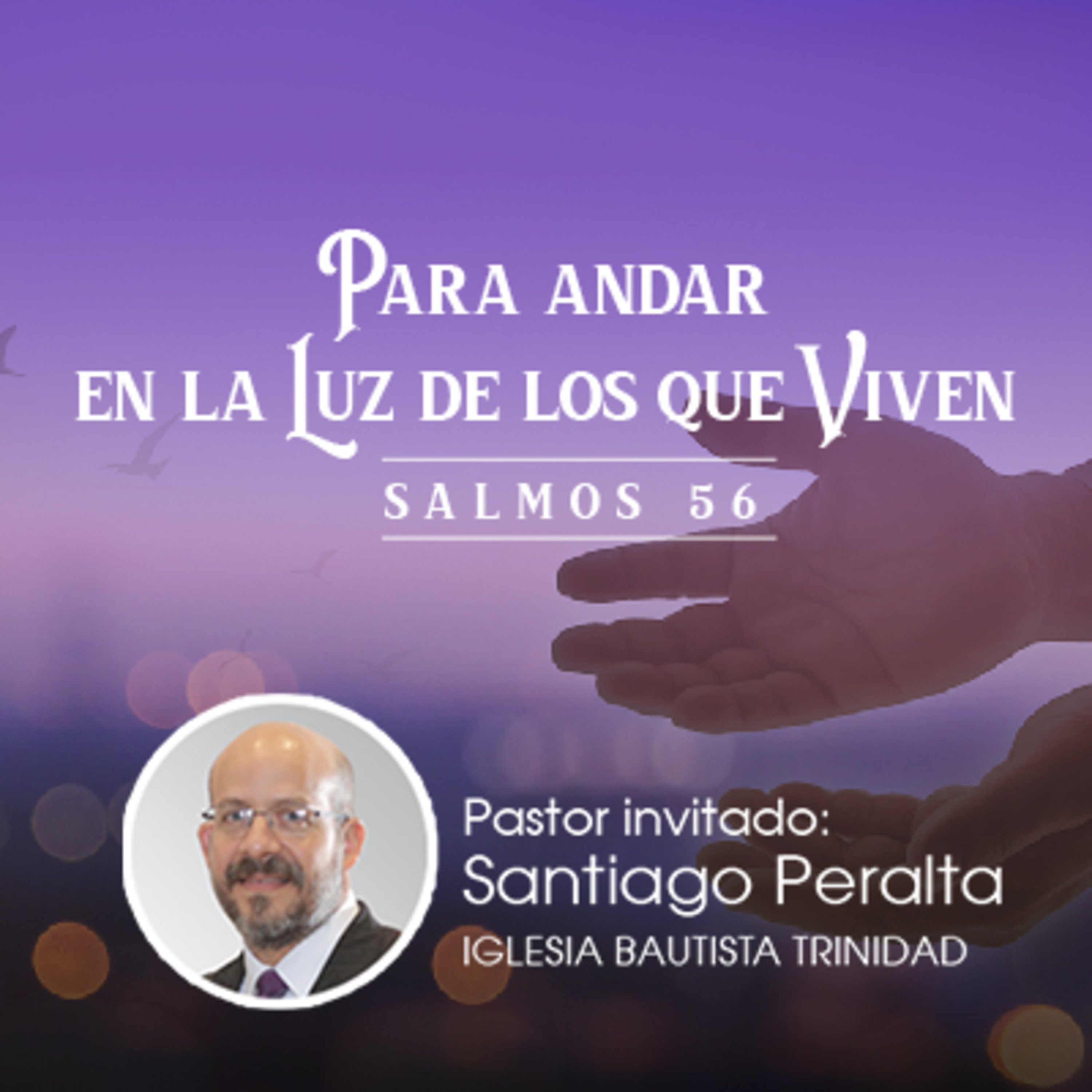 Sermones ICC