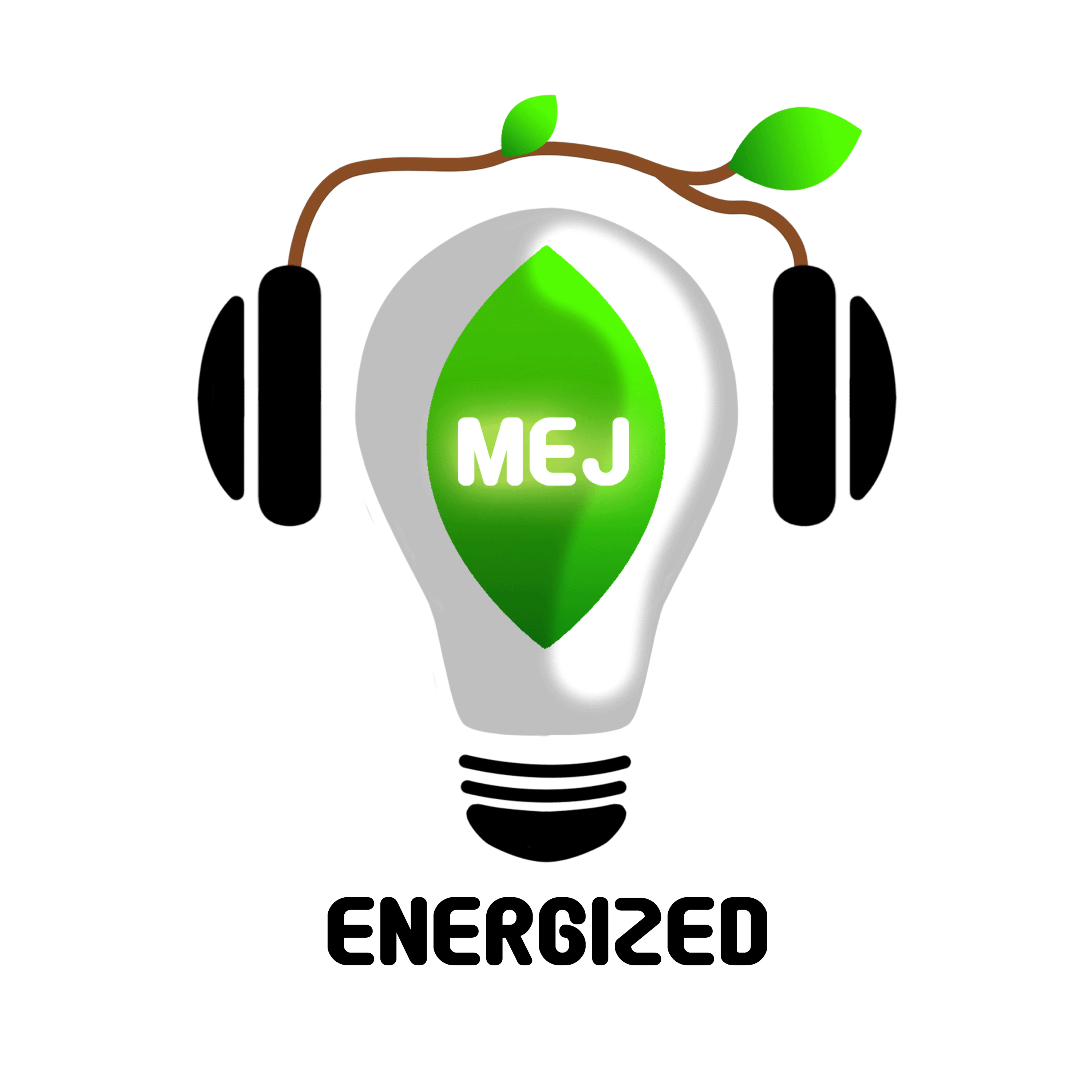 Energized - The McGill Energy Journal
