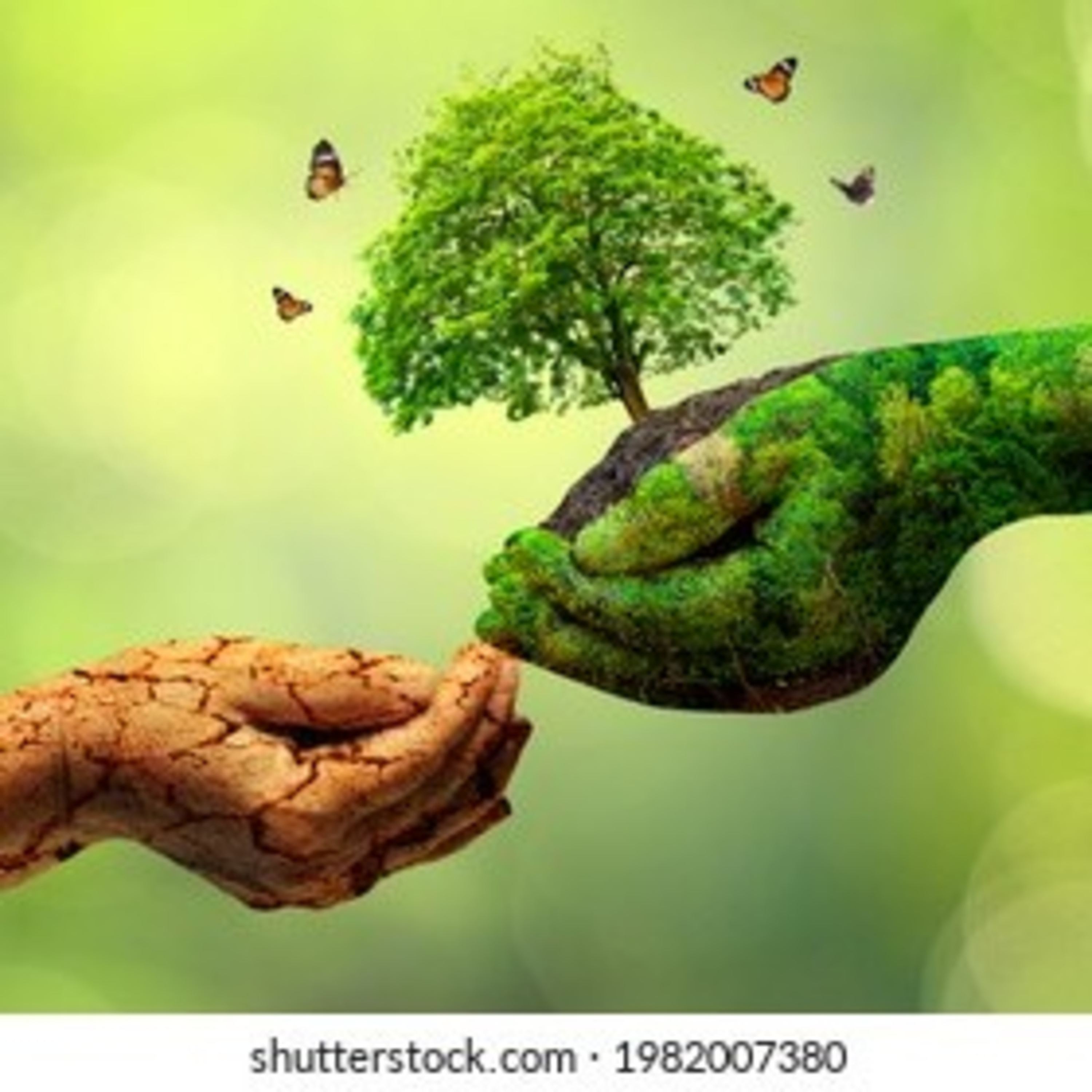 Cuidado del medio ambiente episode artwork