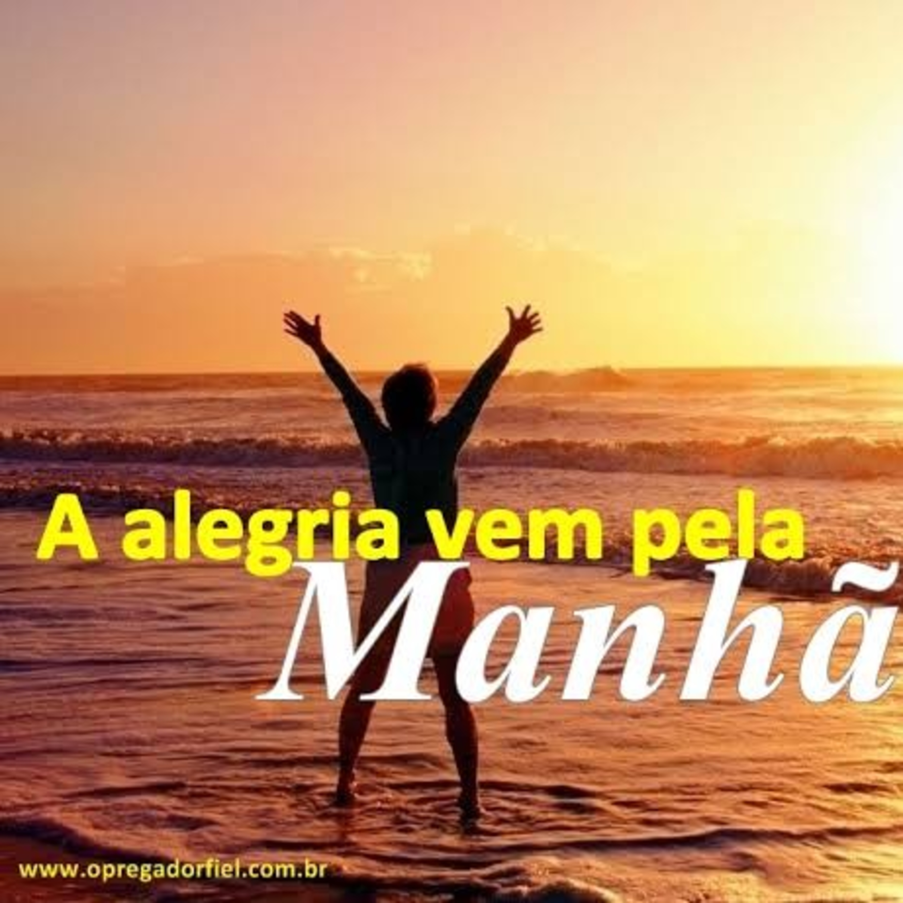 FAMÍLIA NOVA VIDA