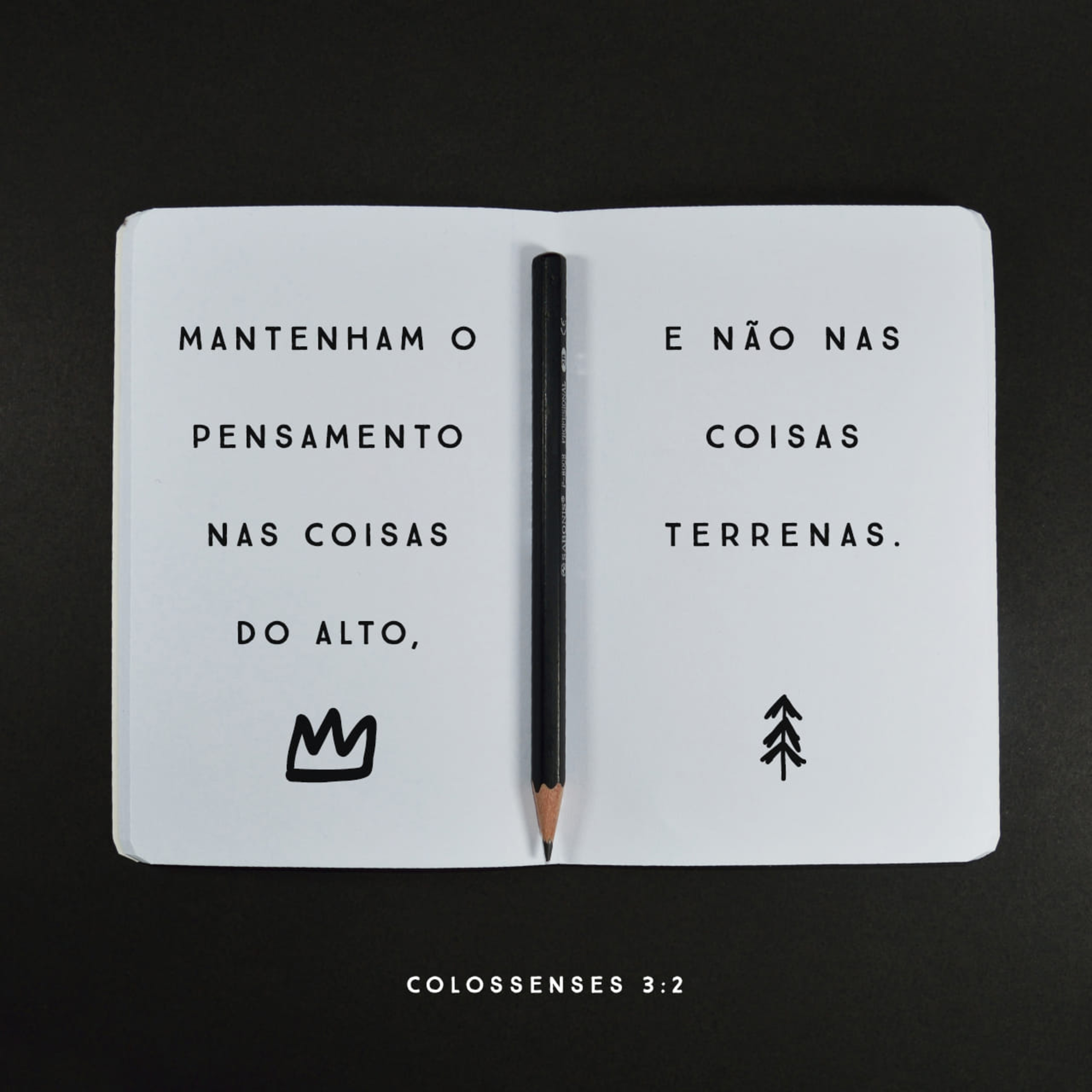 FAMÍLIA NOVA VIDA