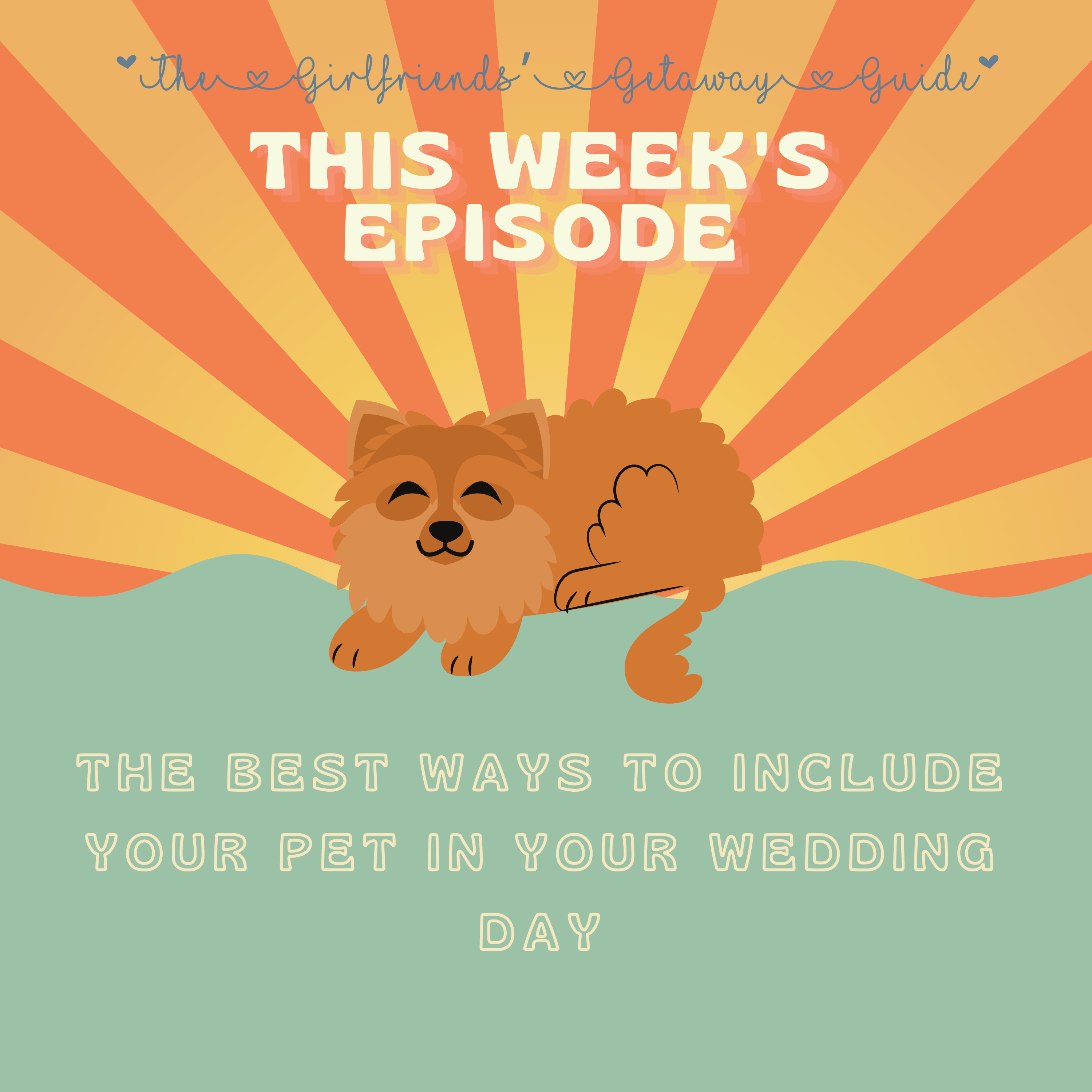 The Best Ways to Include Your Pet in Your Wedding Day episode artwork