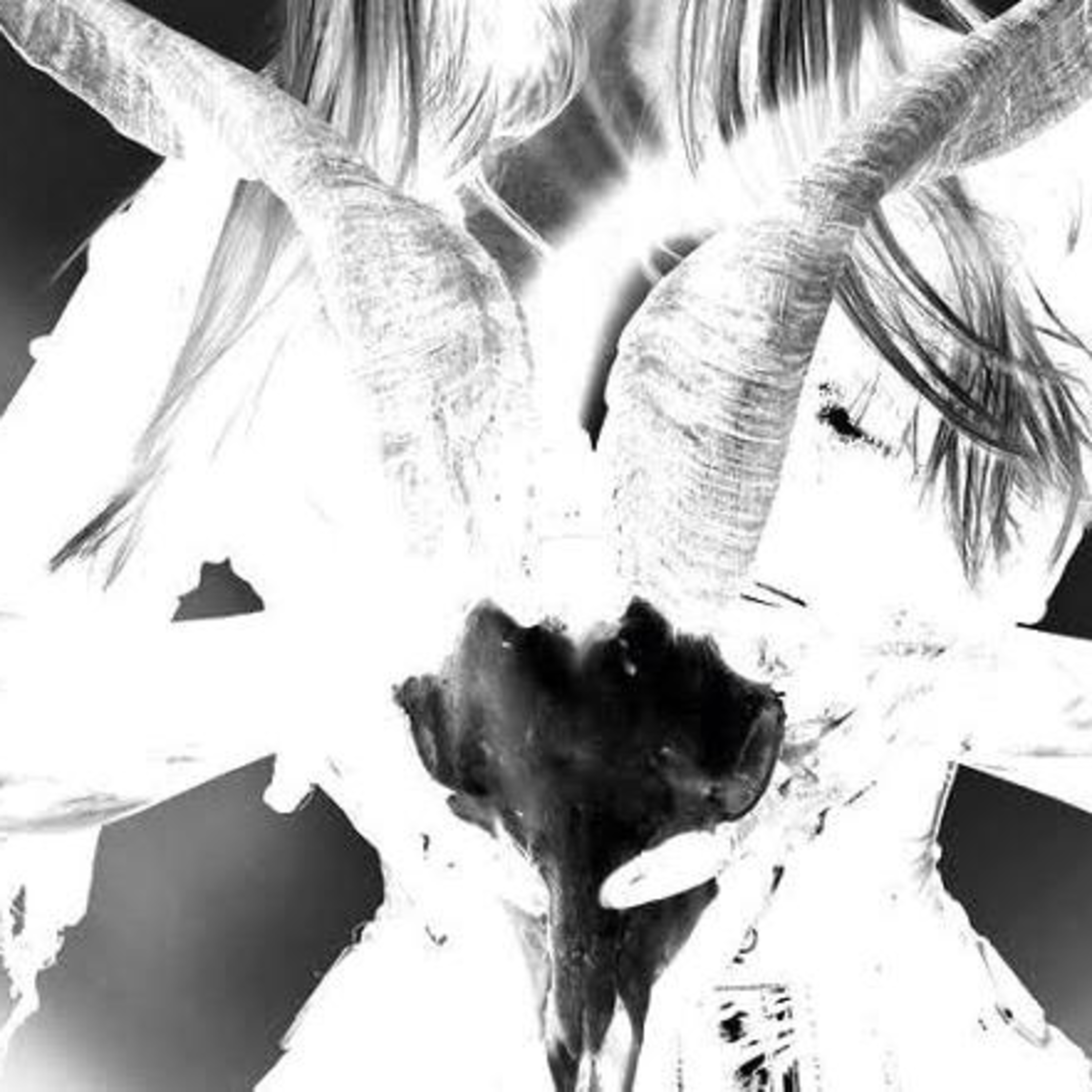 Eps 19 - Karena Wanita Ingin Dimmuborgir episode artwork