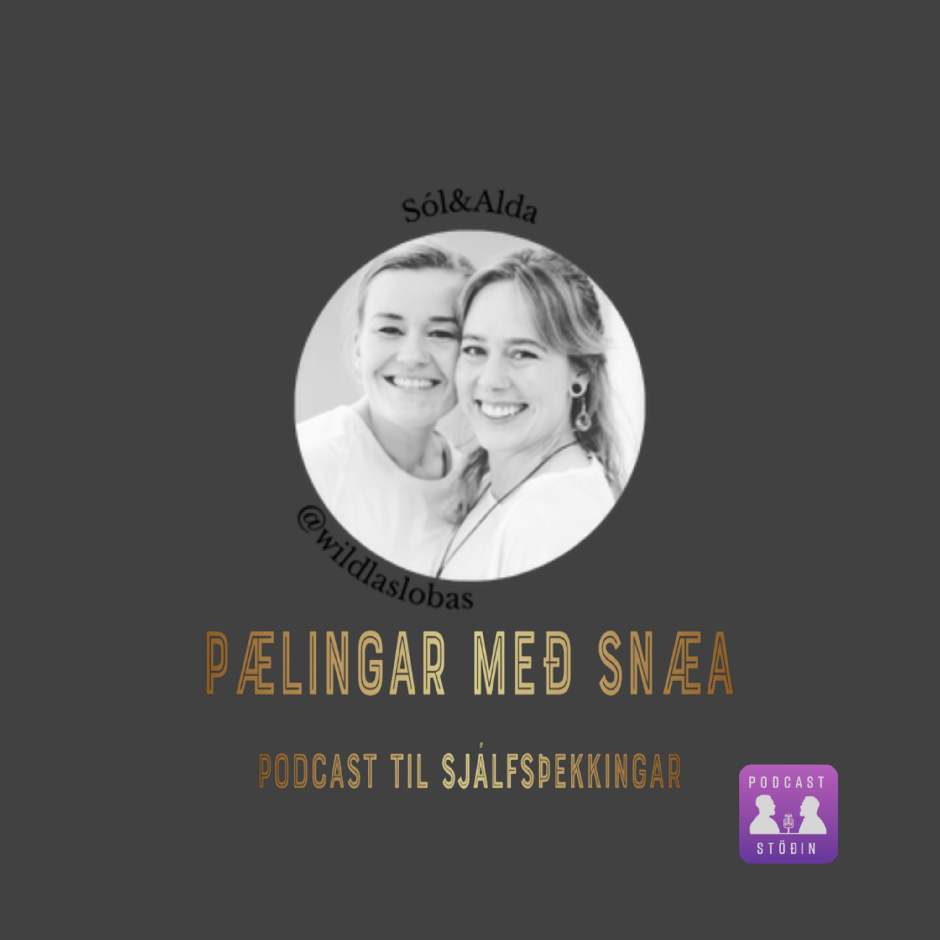 PabbaPælingar