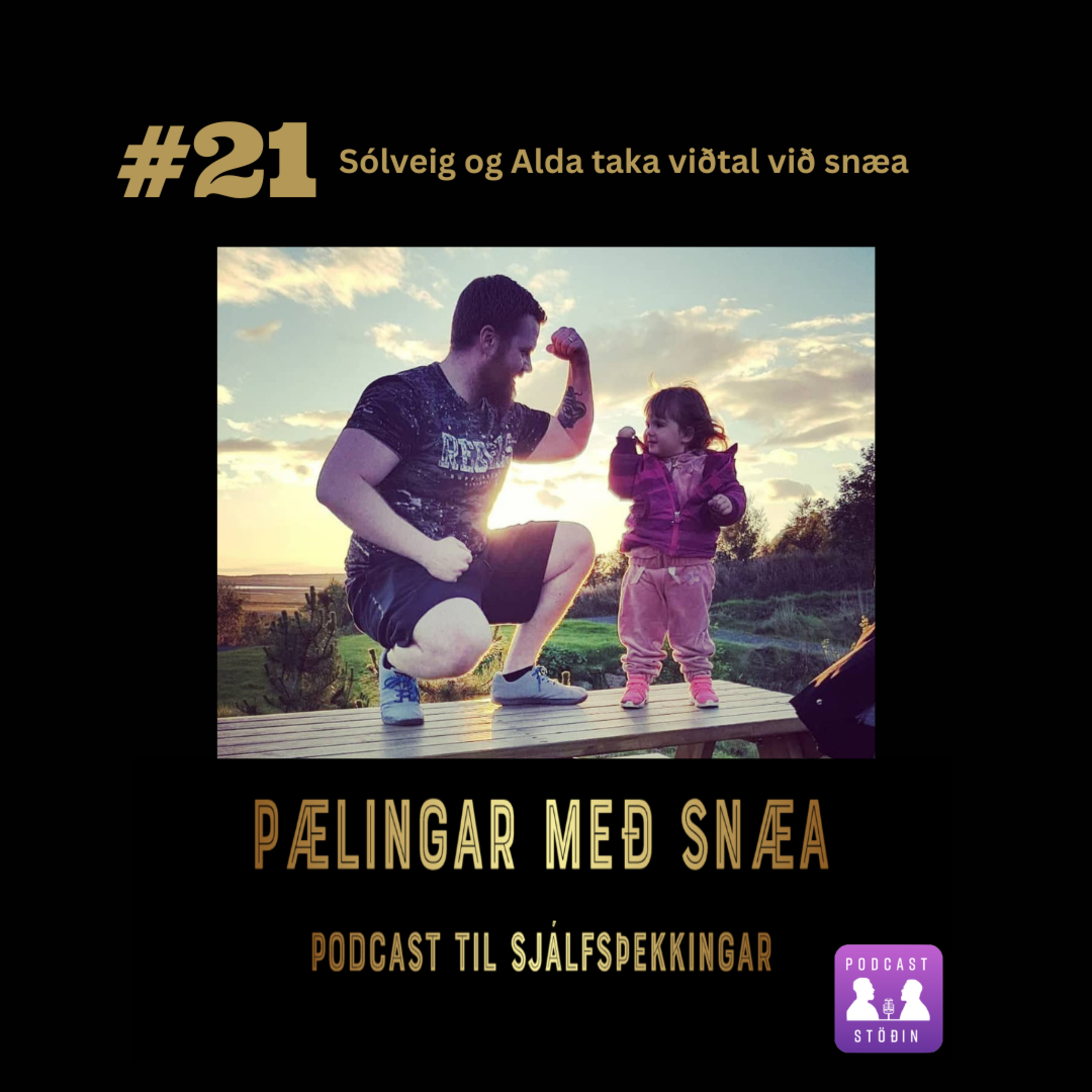 PabbaPælingar