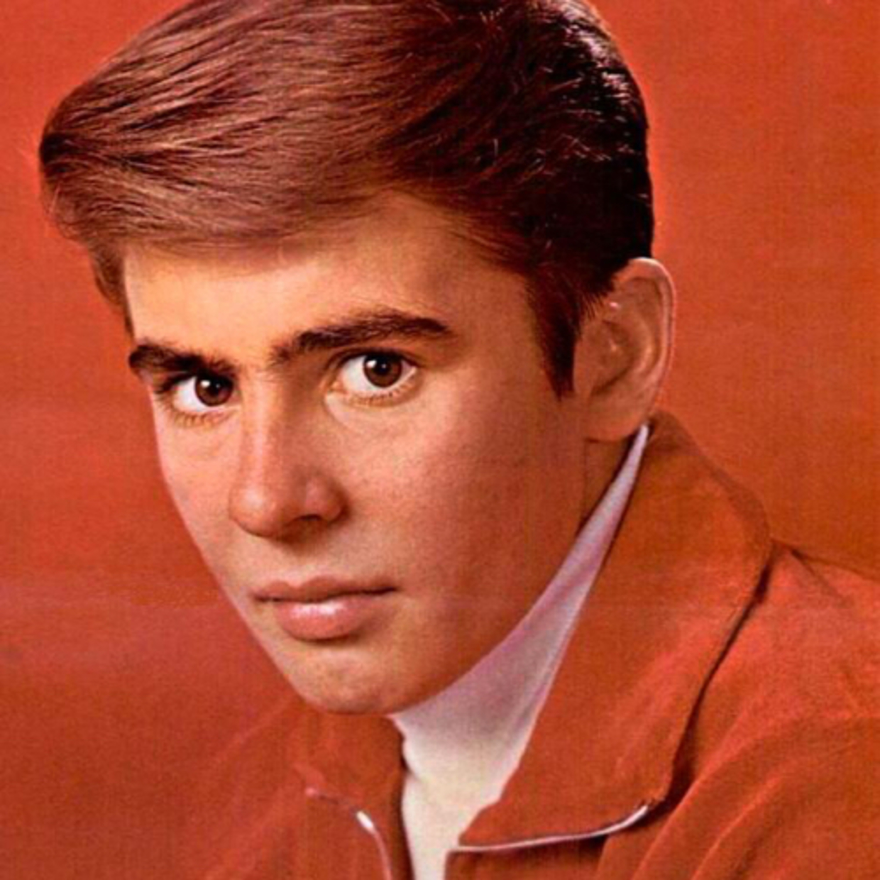 41: The Monkees w. Meghan episode artwork