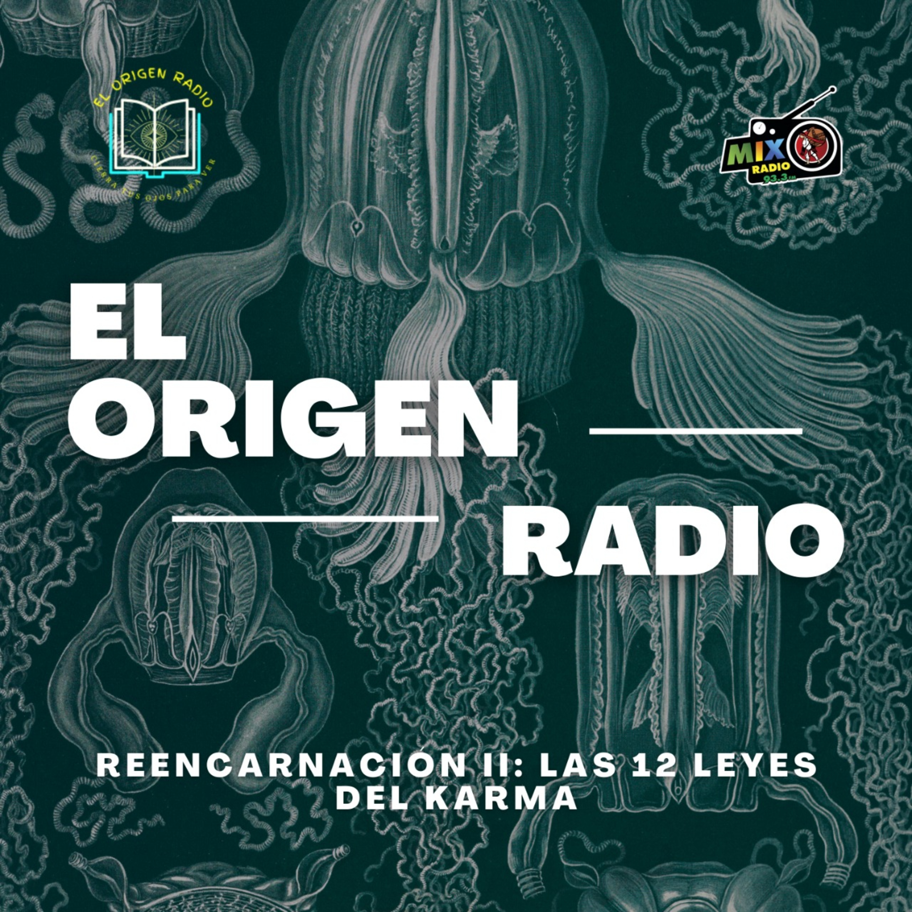 EL ORIGEN RADIO: Las 12 leyes del Karma (reencarnación parte 2)
