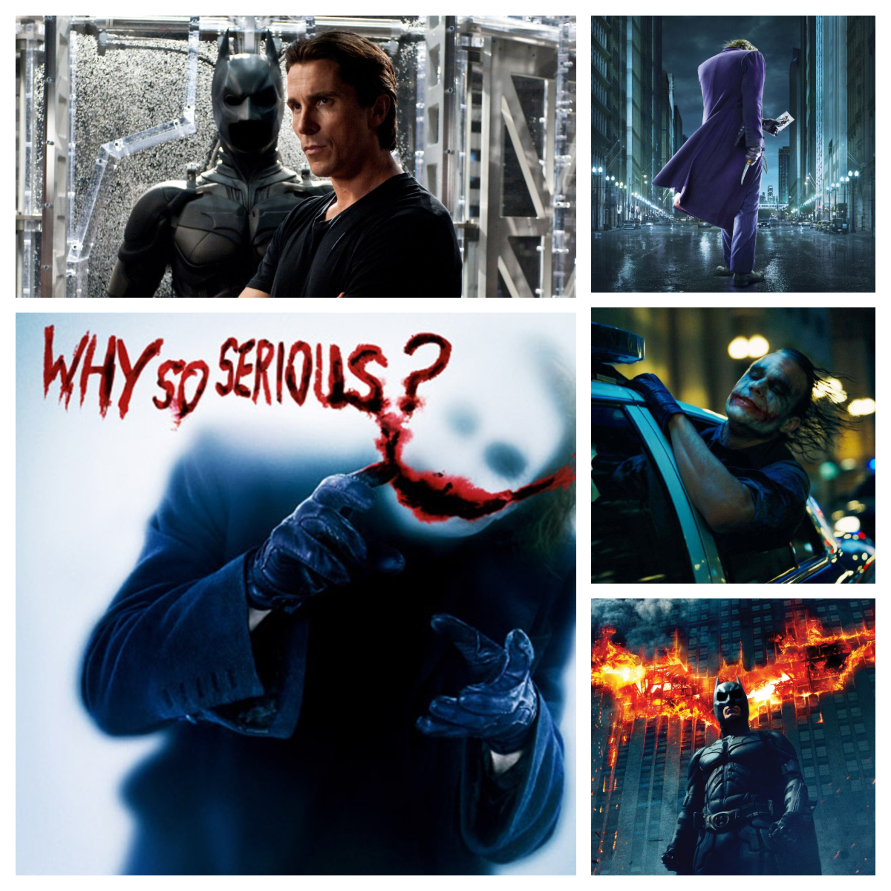 Reel Sharks Podcast