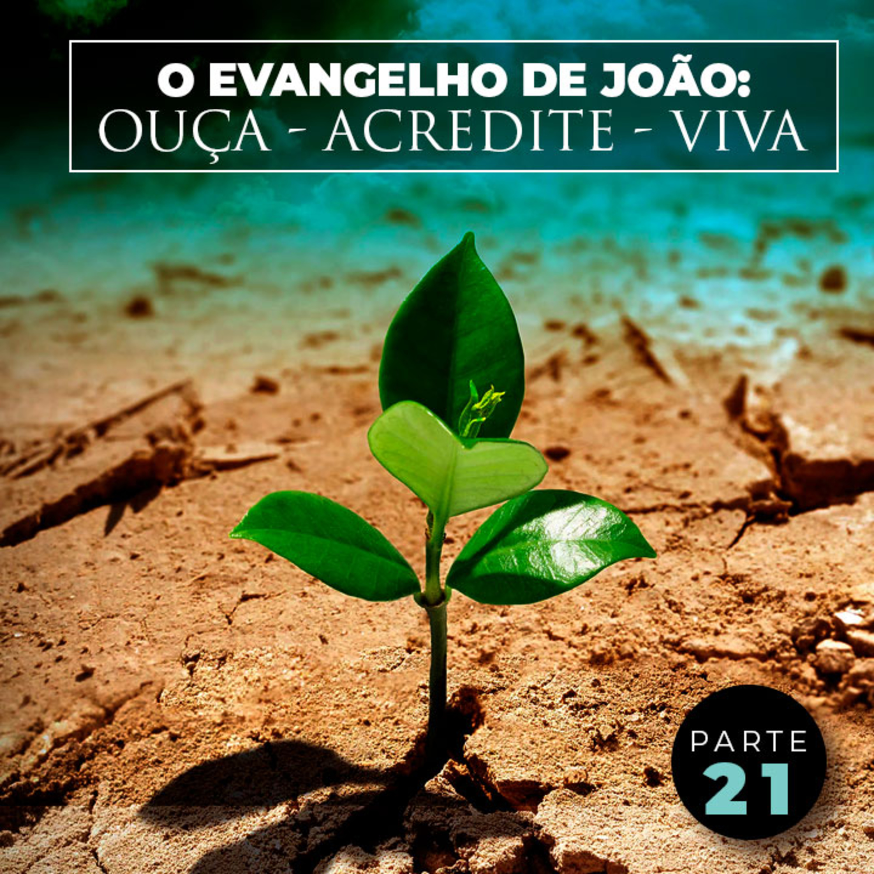 O Evangelho de João: Ouça - Acredite - Viva (Parte 21) episode artwork