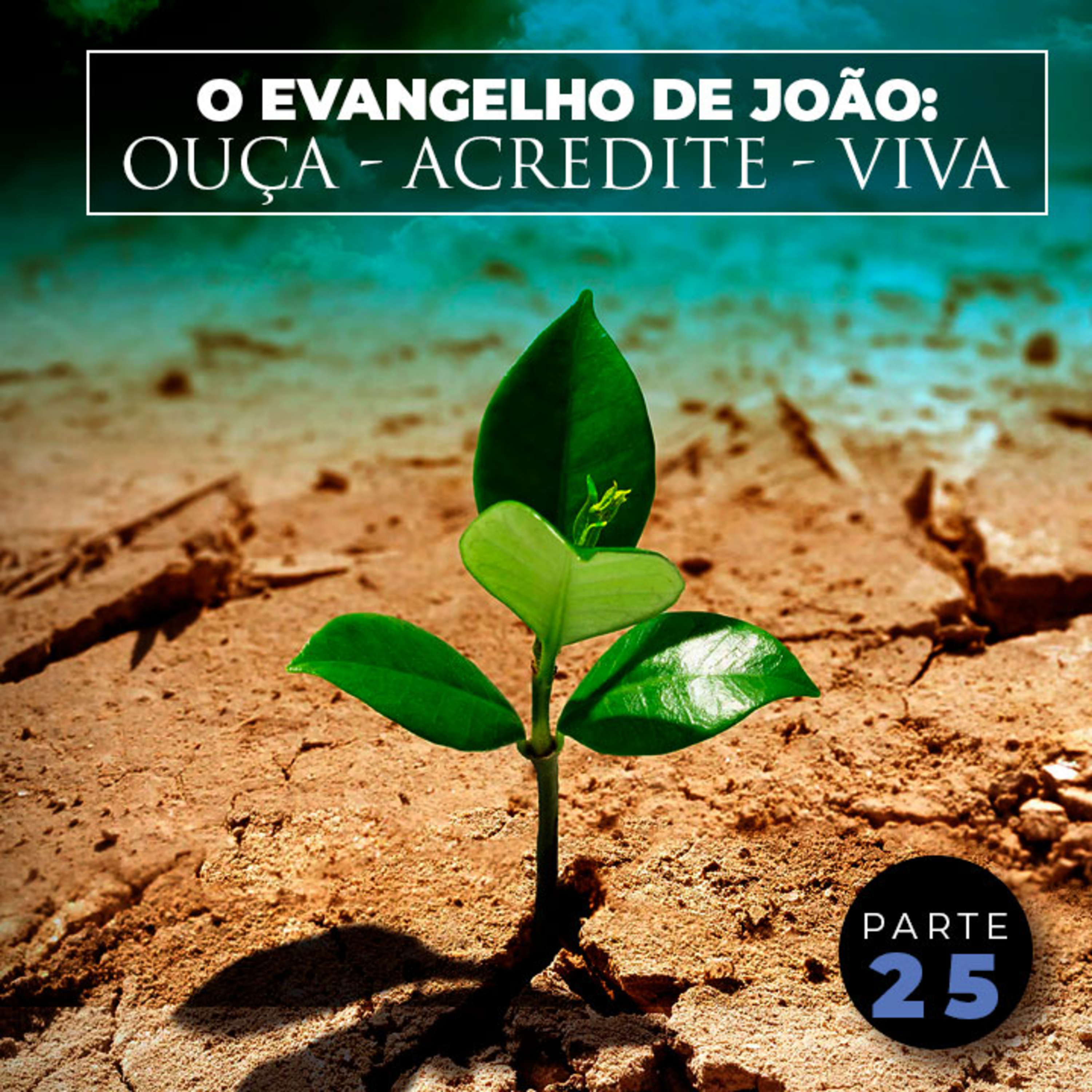 O Evangelho de João: Ouça - Acredite - Viva (Parte 25) episode artwork