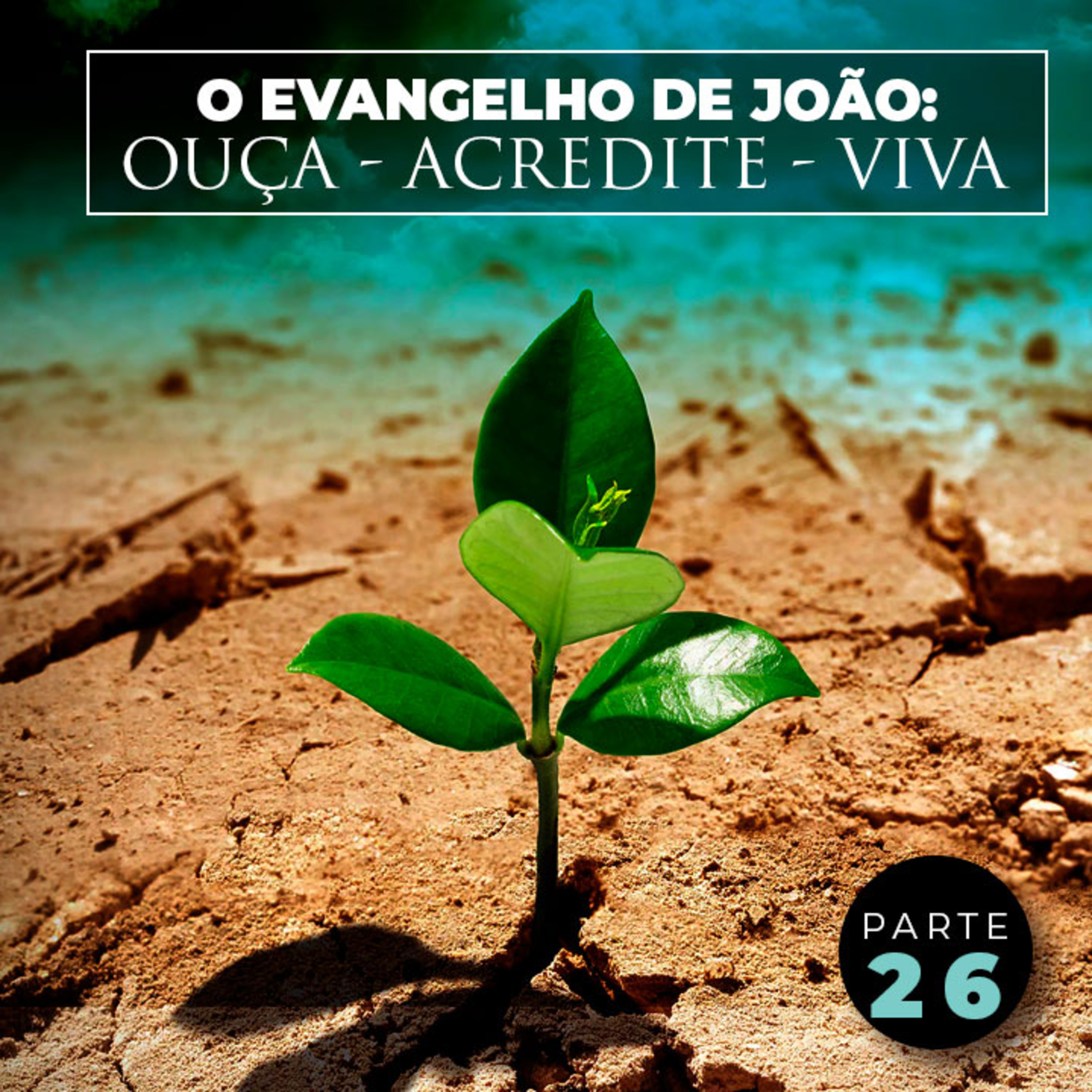 Parte 26 - O Evangelho de João: Ouça - Acredite - Viva episode artwork