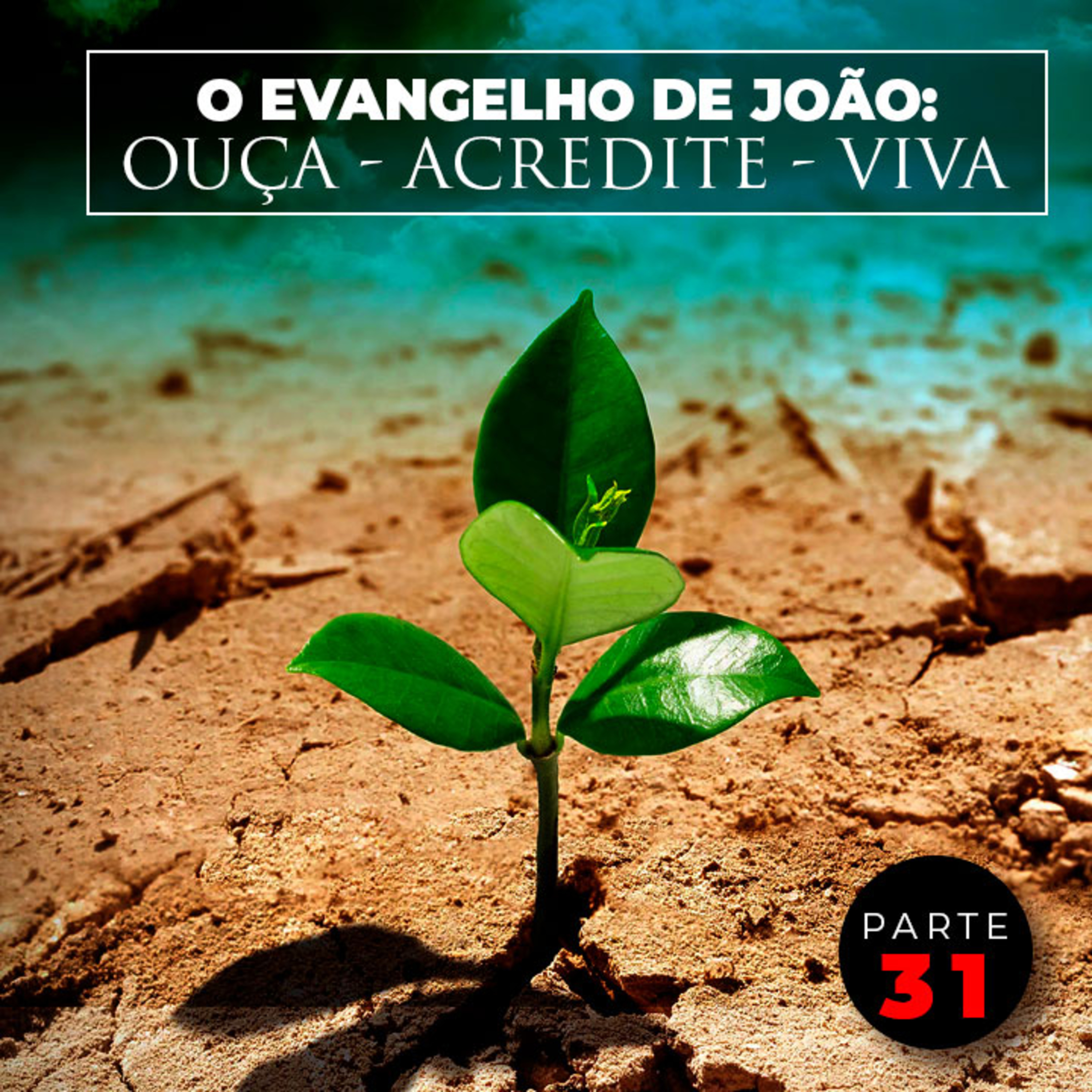Parte 31 - O Evangelho de João: Ouça - Acredite - Viva episode artwork