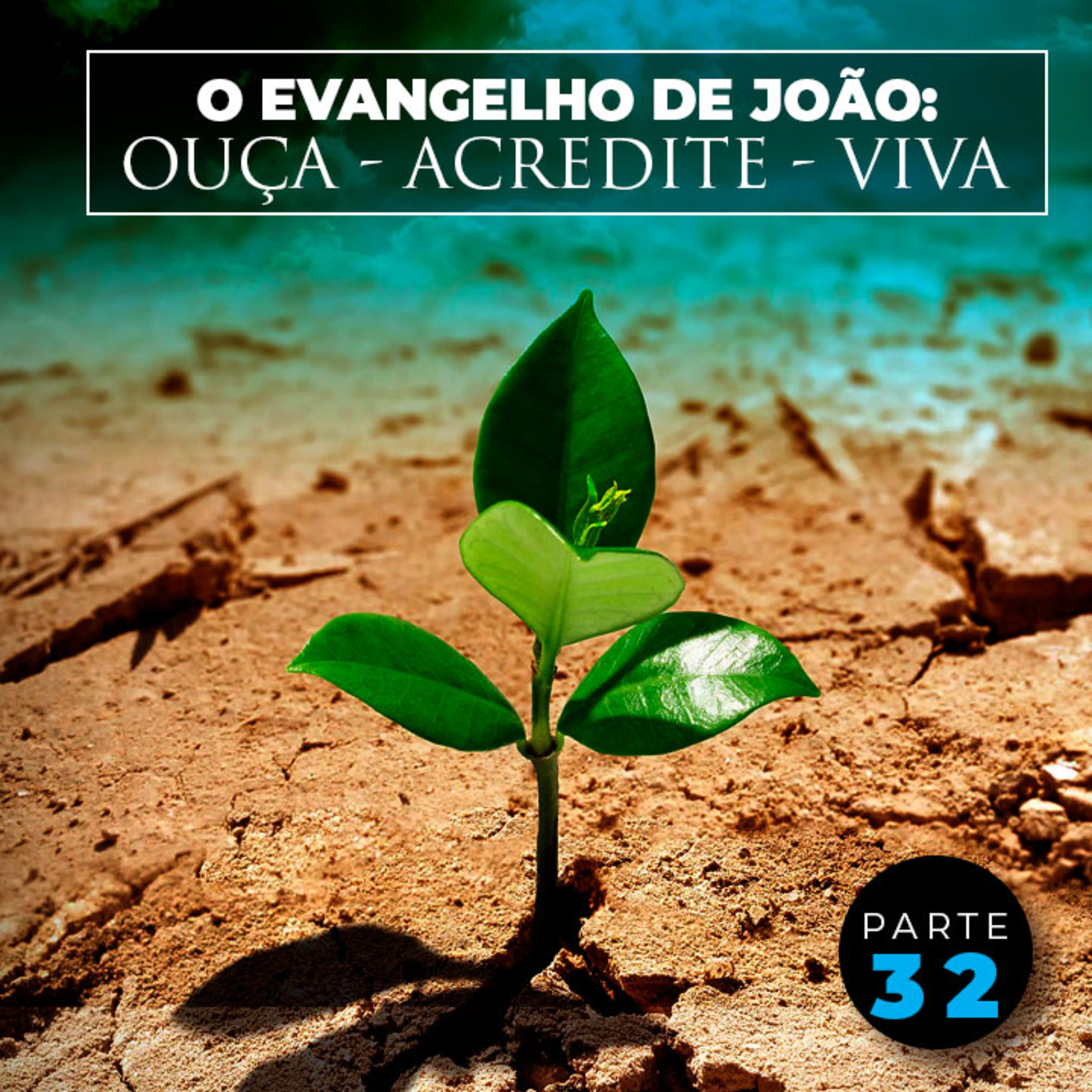 Parte 32 - O Evangelho de João: Ouça - Acredite - Viva episode artwork