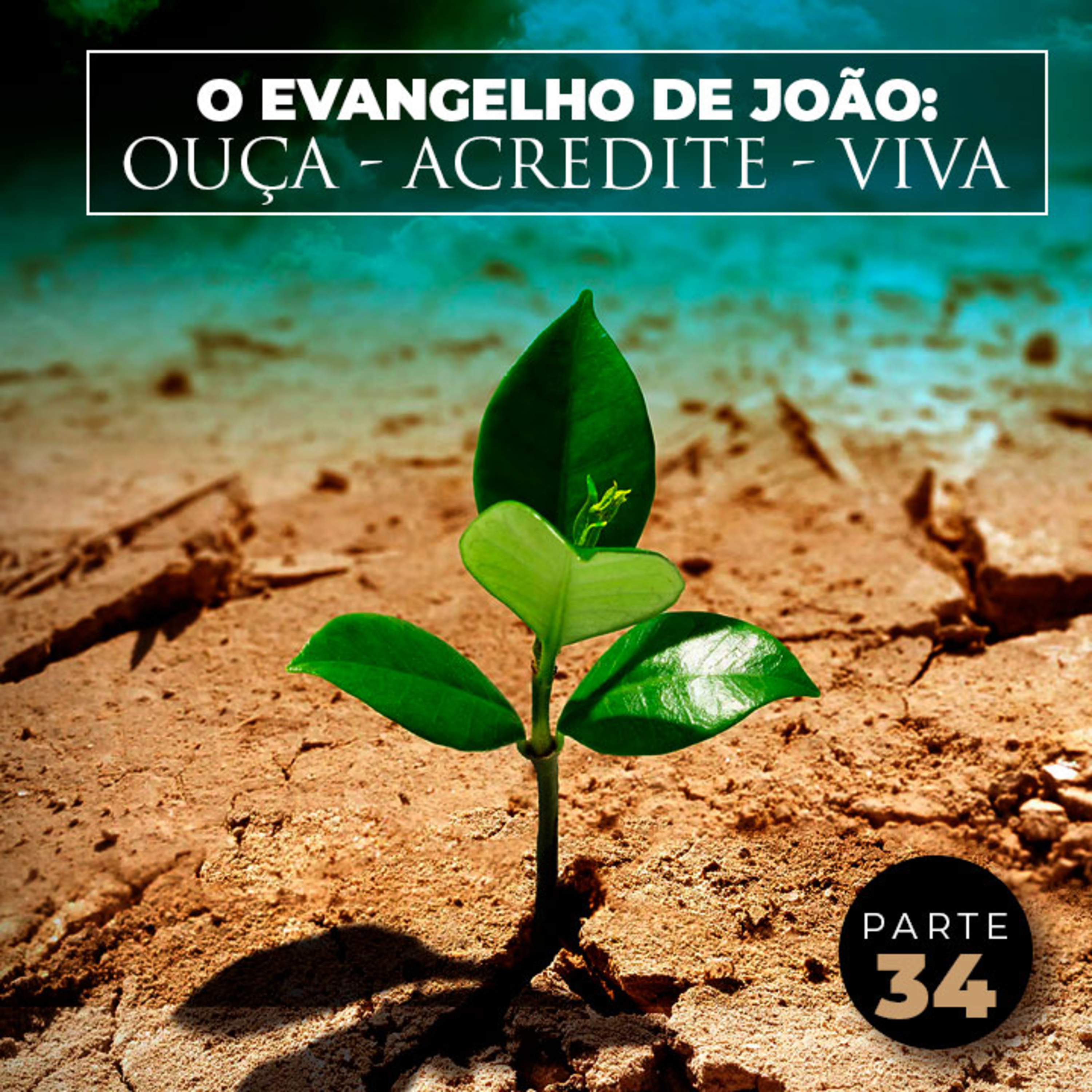 Parte 34 - O Evangelho de João: Ouça - Acredite - Viva episode artwork