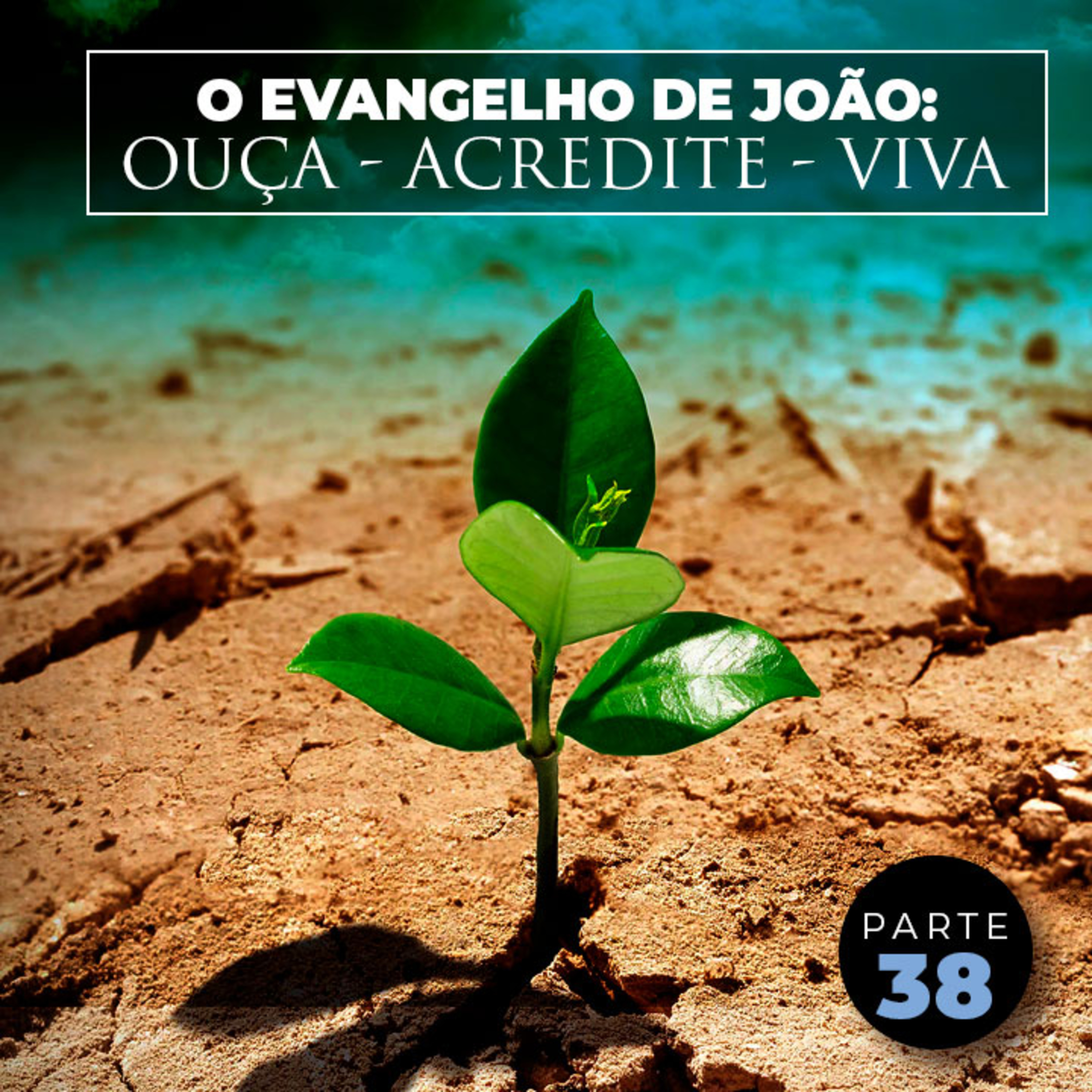 Parte 38 - O Evangelho de João: Ouça - Acredite - Viva episode artwork
