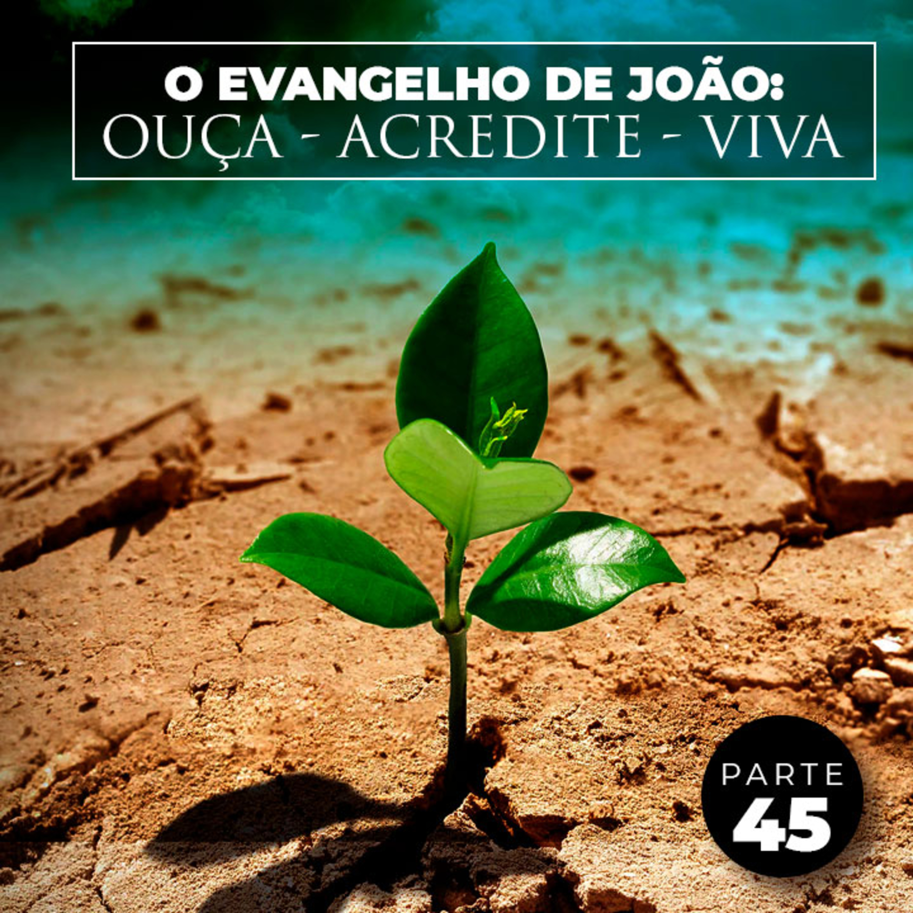 Parte 45 - O Evangelho de João: Ouça - Acredite - Viva episode artwork