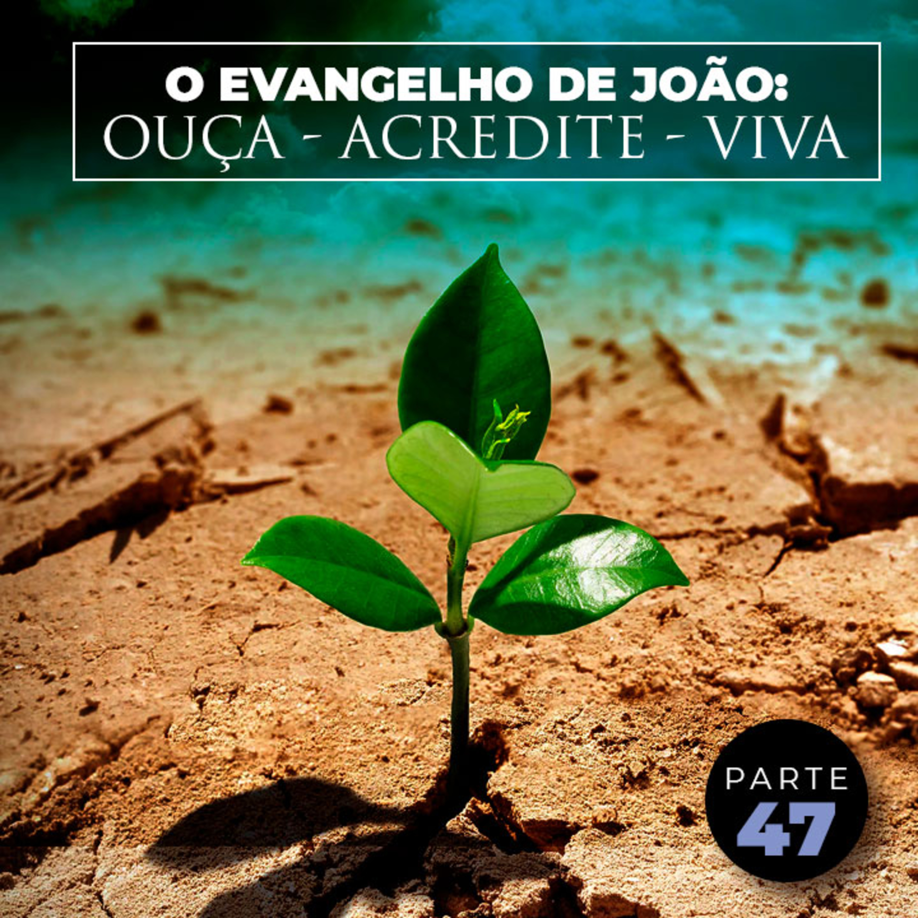 Parte 47 - O Evangelho de João: Ouça - Acredite - Viva episode artwork