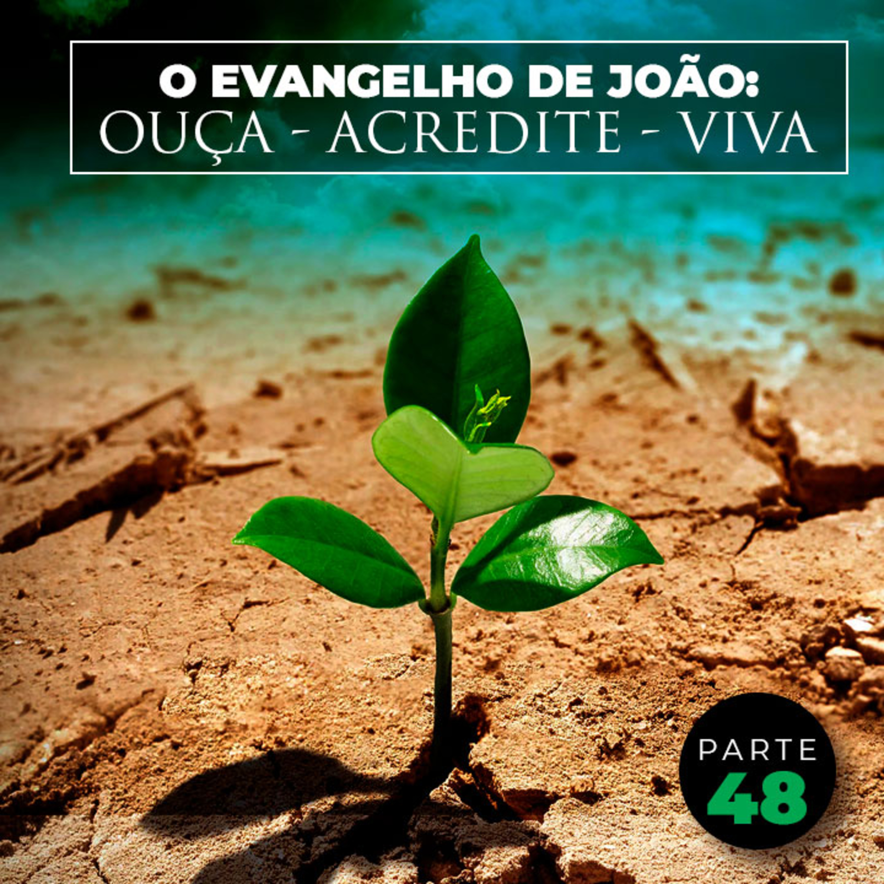 Parte 48 - O Evangelho de João: Ouça - Acredite - Viva episode artwork