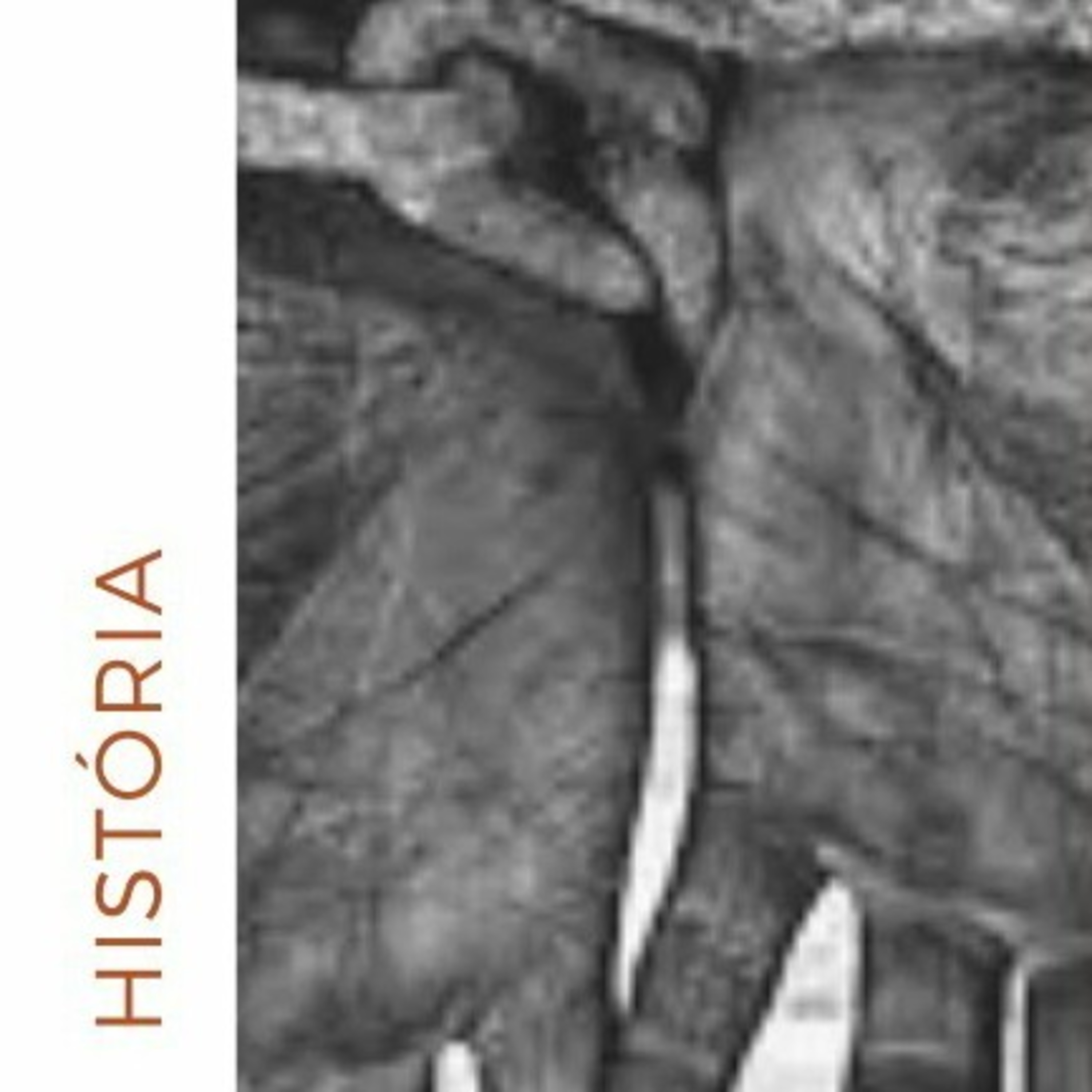Outro lado da história